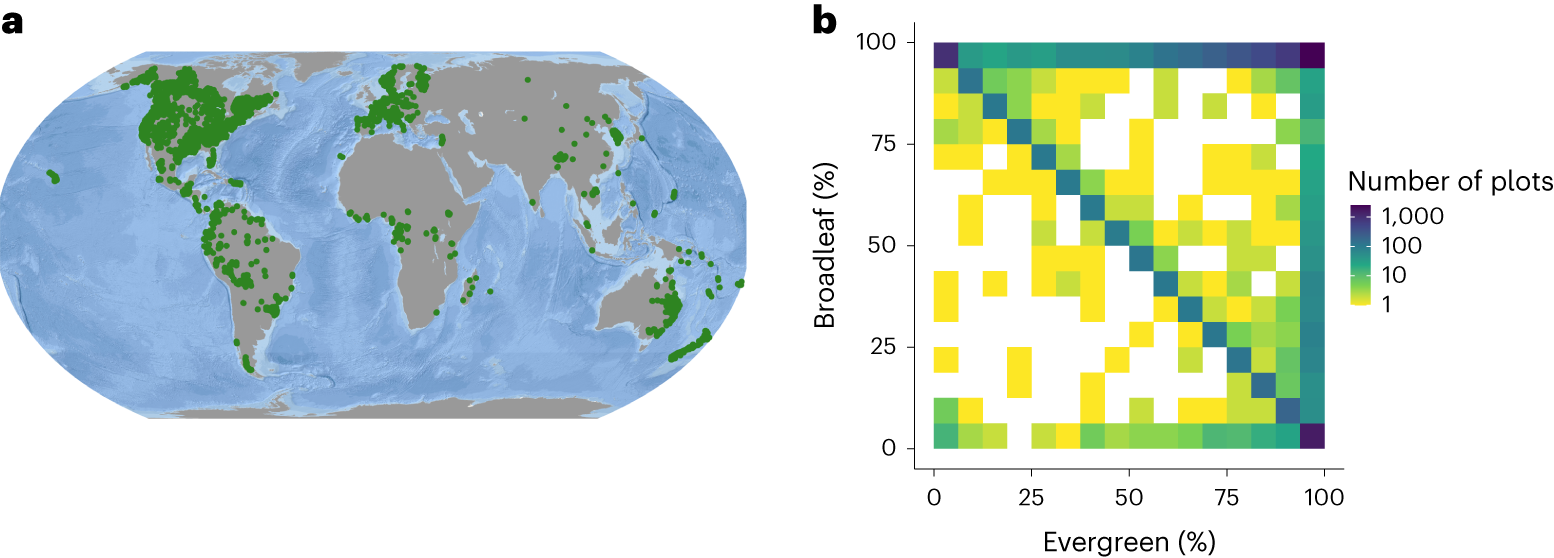 The global biogeography of tree leaf form and habit | Nature Plants