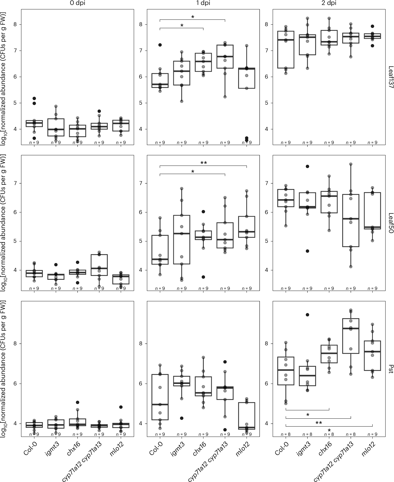 Fig. 2: Colonization of GNSR mutant plants by leaf bacteria.