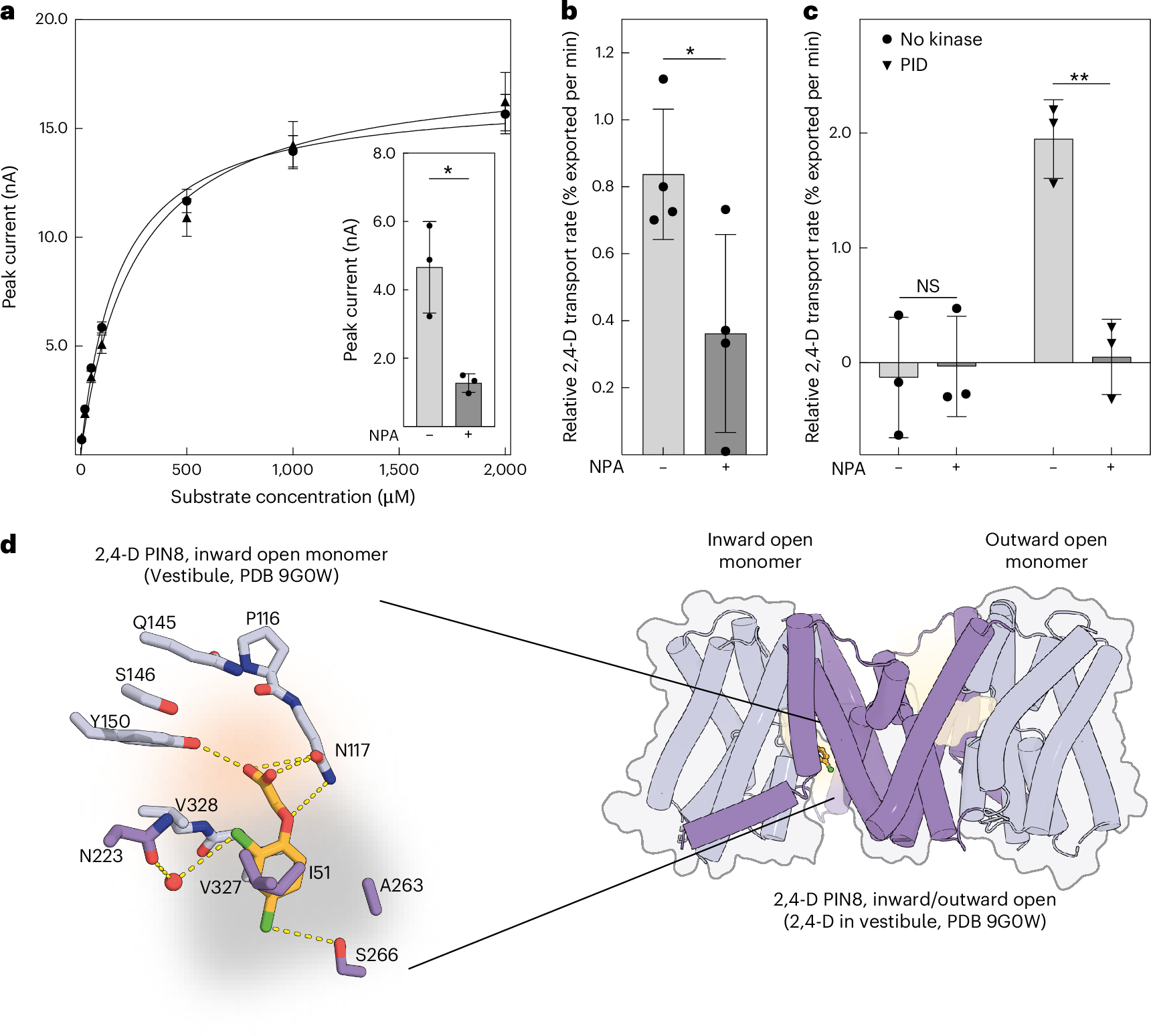 Fig. 1: 2,4-D is a PIN substrate.