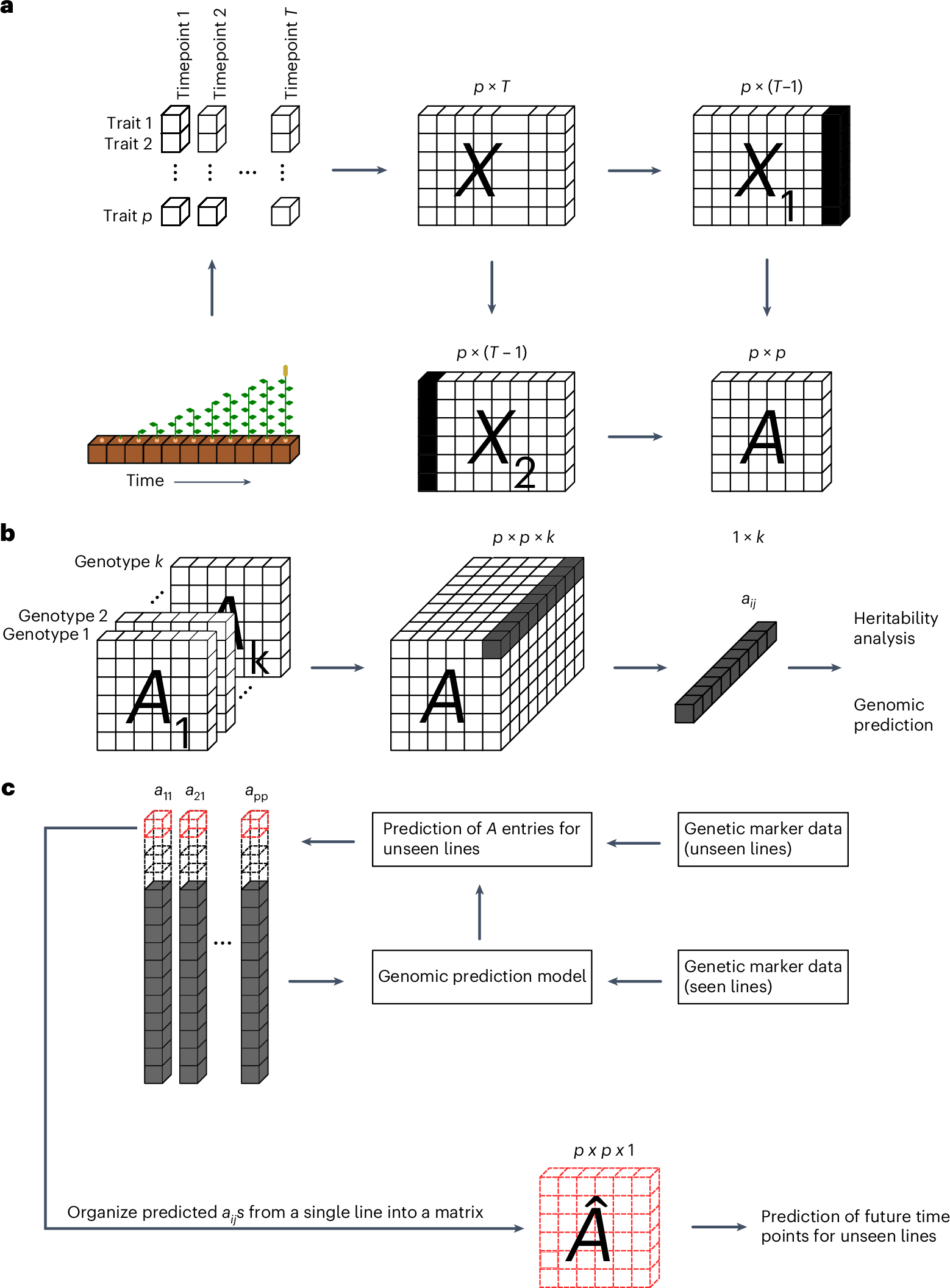 Fig. 1: A schematic representation of dynamicGP.