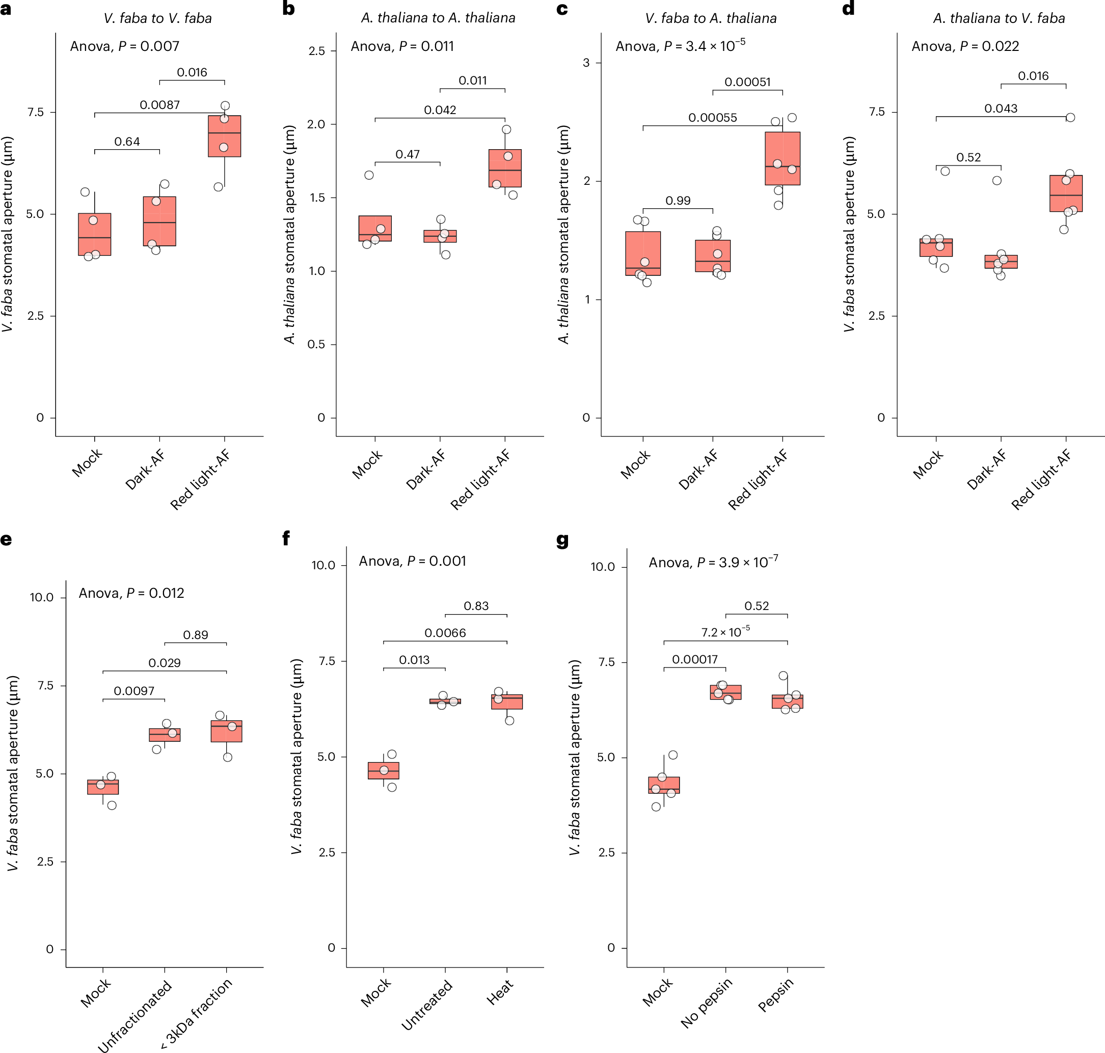 植物の呼吸と栄養摂取を制御するメッセンジャーを解明(Messenger signals that cue plants to ‘eat’ and ‘breathe’ revealed for first time)