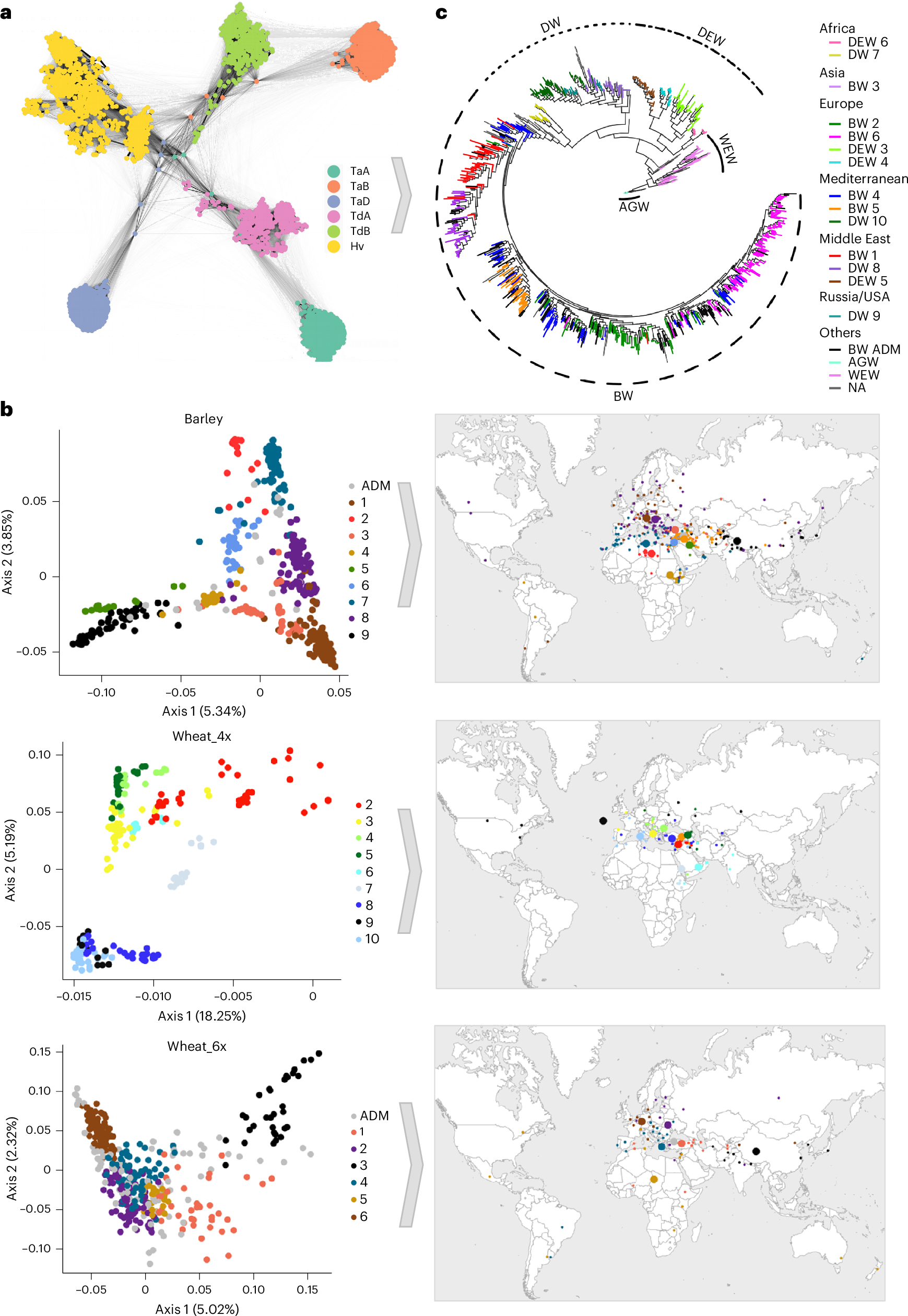 Fig. 2: Structure of the genetic diversity of wheat and barley populations.
