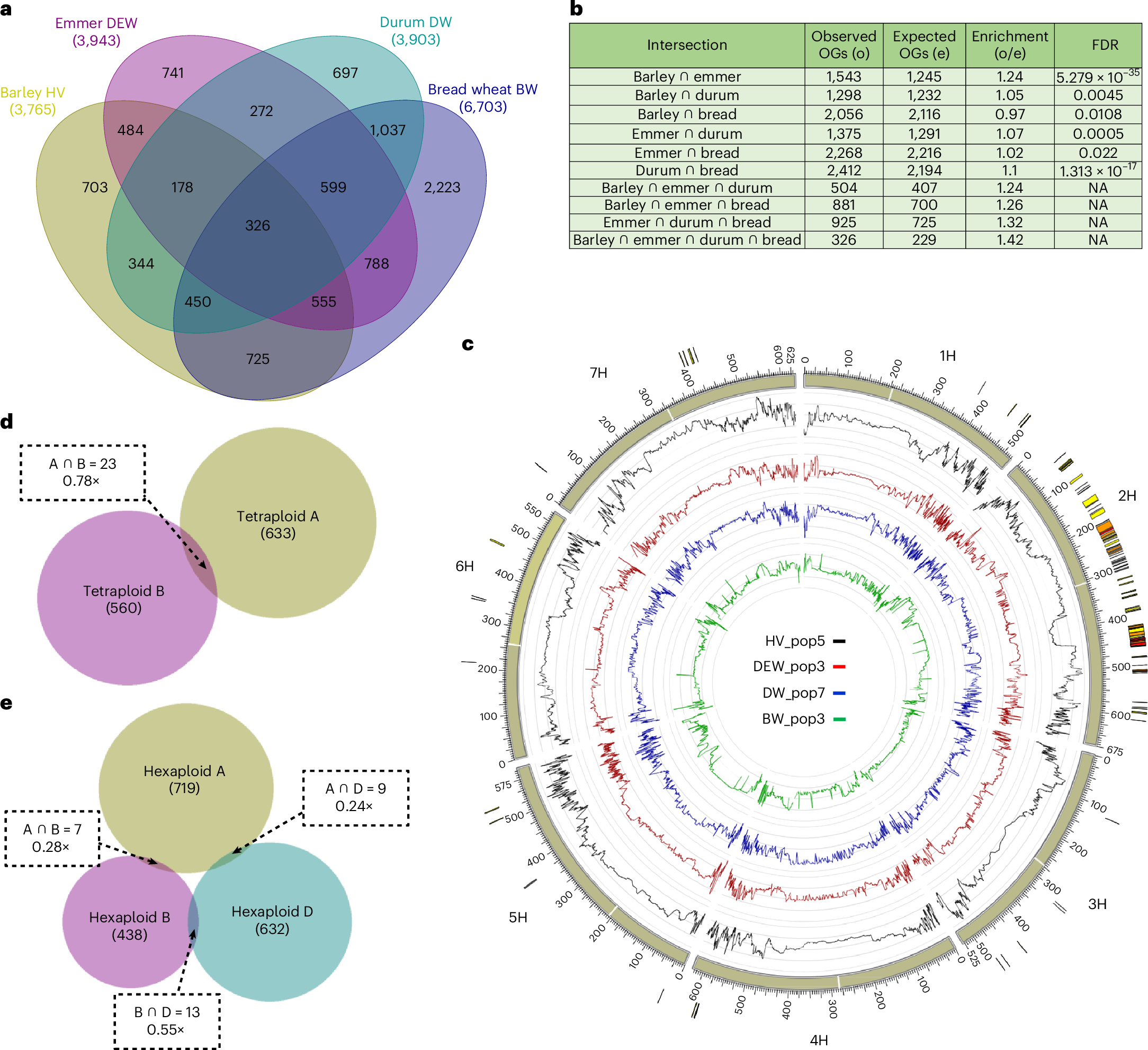 Fig. 3: OrthoSweeps between wheat and barley.