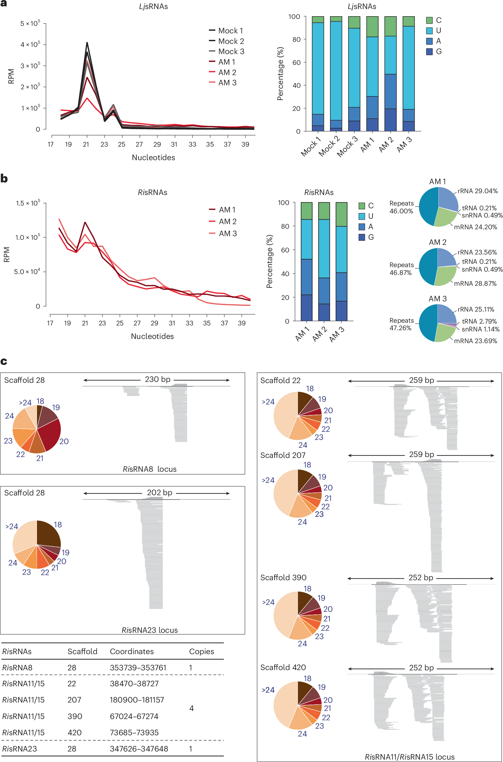 共生菌が植物免疫制御因子を利用して共生を促進（Friendly fungi hijack plant regulator to promote symbiosis）