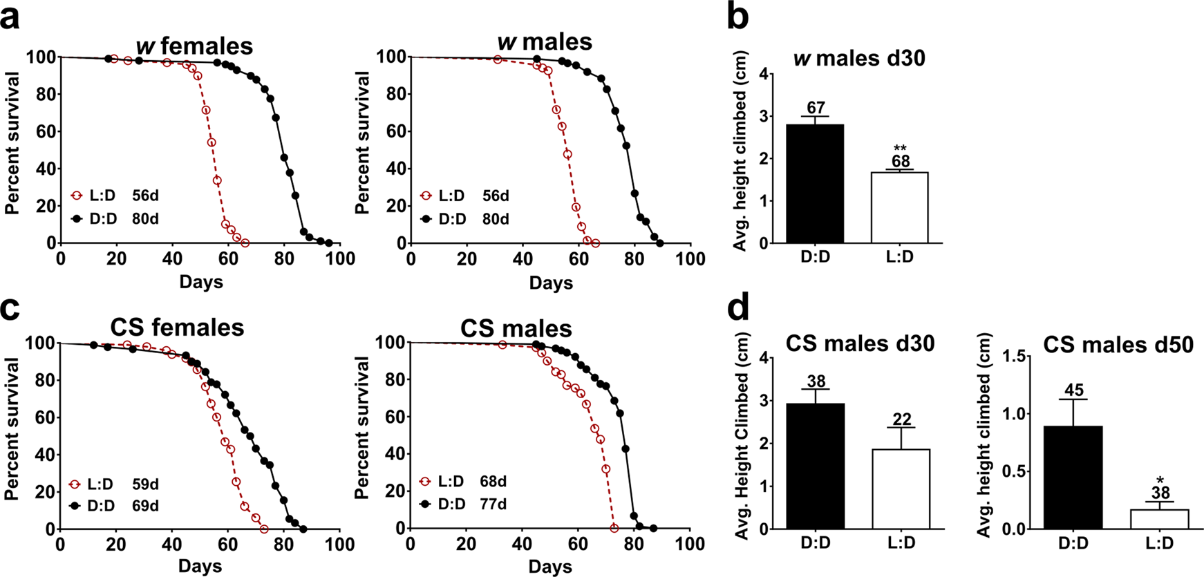 shabby Recite kradse Daily blue-light exposure shortens lifespan and causes brain  neurodegeneration in Drosophila | npj Aging