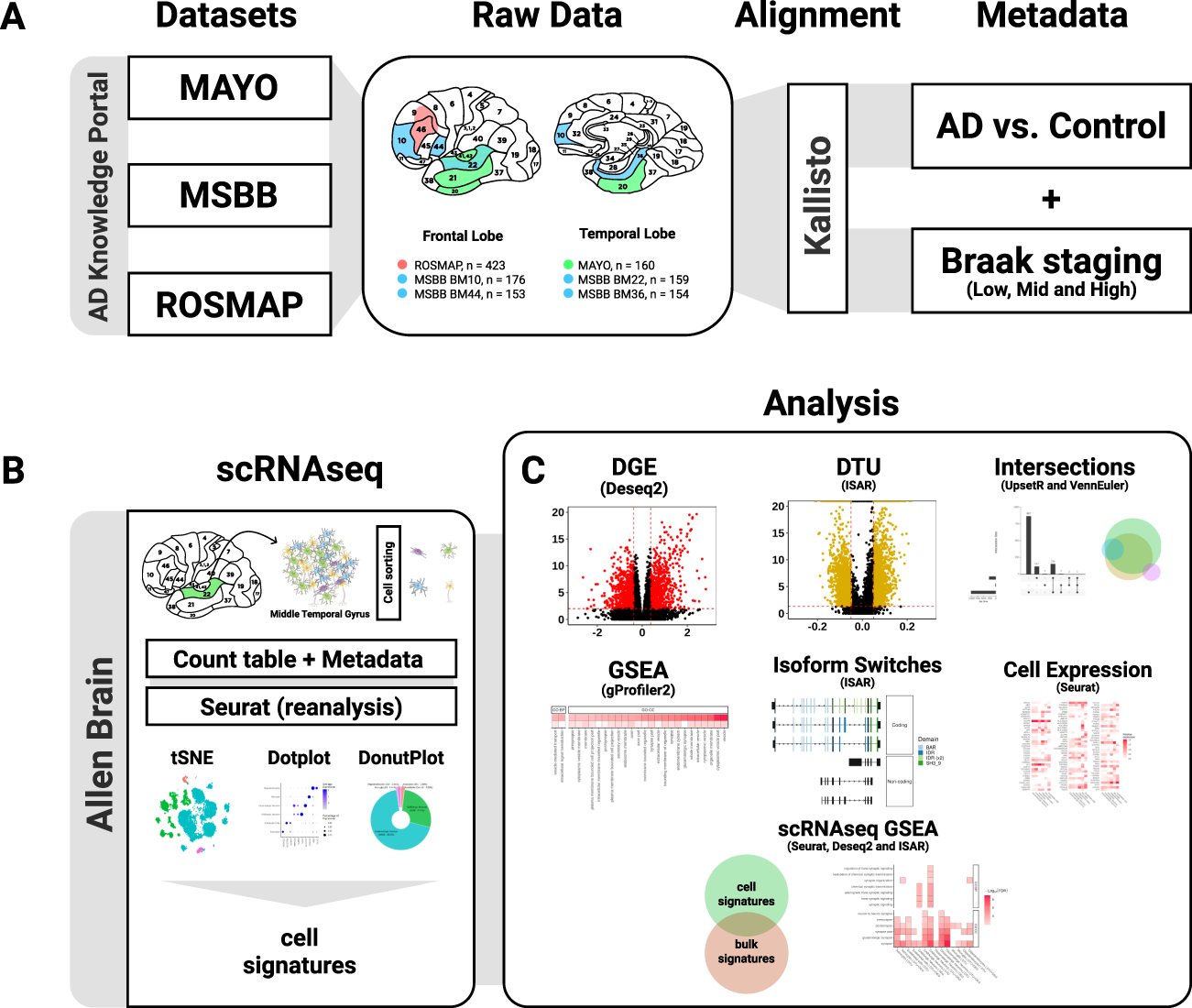 Fig. 1: Schematic summary of the methodology.