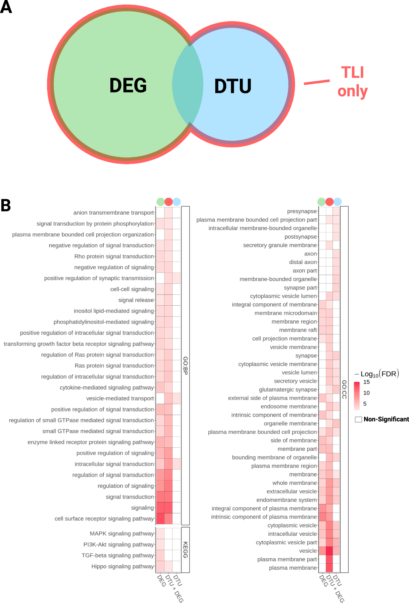 Fig. 4: Differential transcript usage analysis in AD brains reveals gene expression alterations overlooked in DEG analysis.