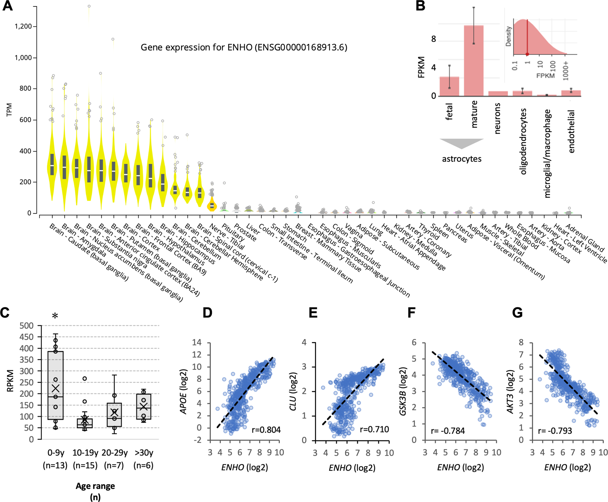 Menin protein protects against aging and cognitive decline