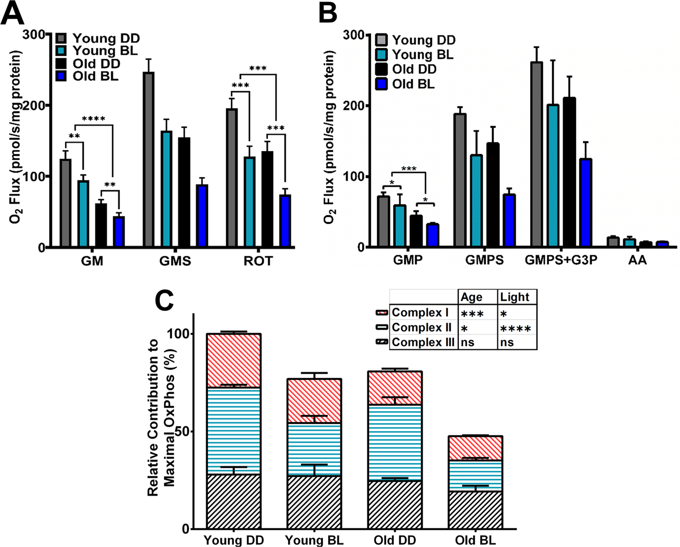 Fig. 3: Respiratory functions of mitochondria are affected by both BL exposure and age.