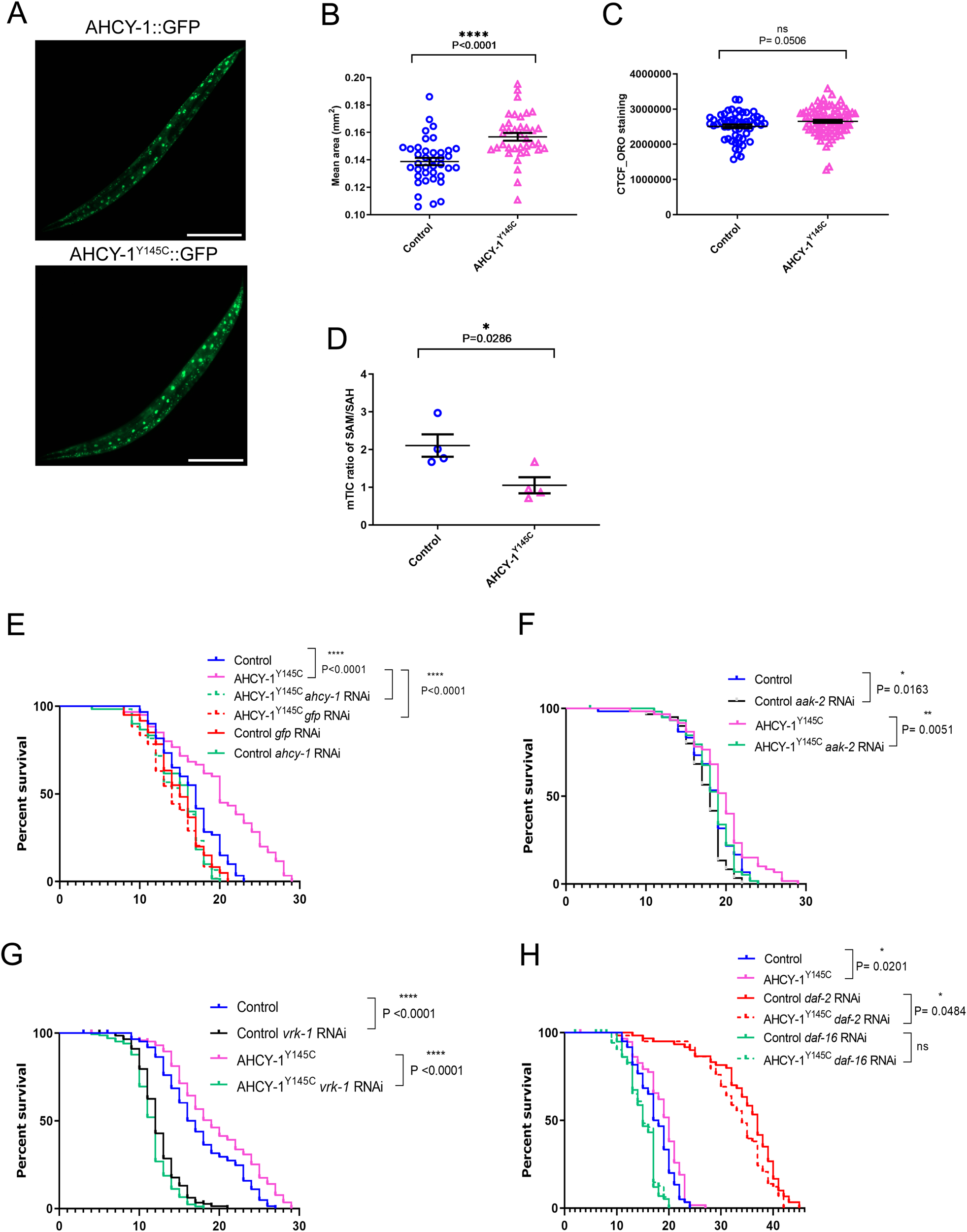 SAM and SAH Analysis Service - Creative Proteomics