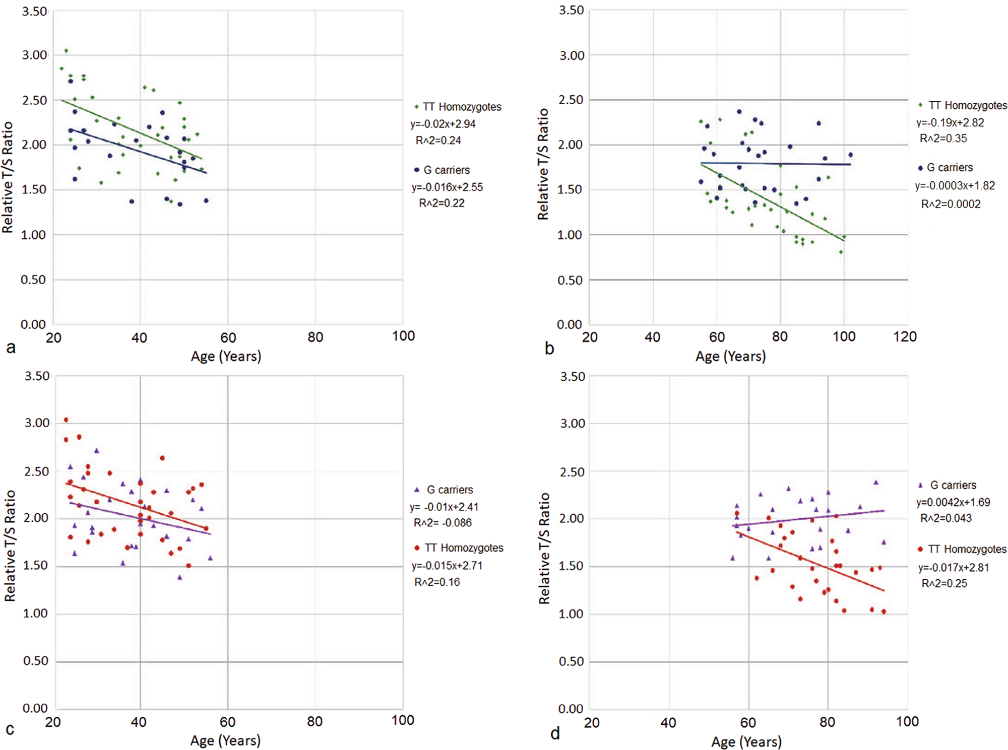 Fig. 1: Effect of FOXO3 Genotype on Telomere Length During Aging in Men and Women.