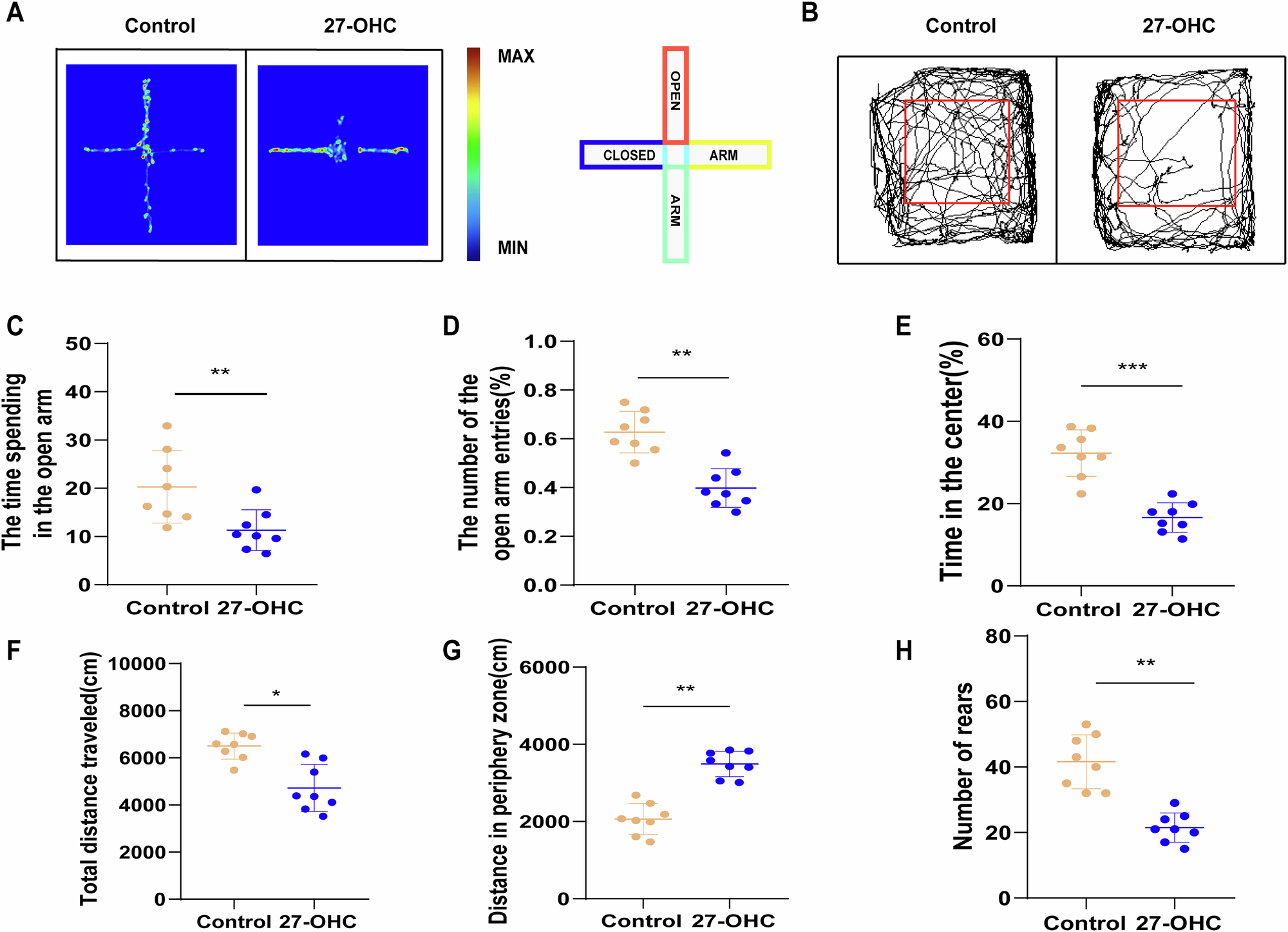 Fig. 4: 27-OHC induced anxiety-like behavior.
