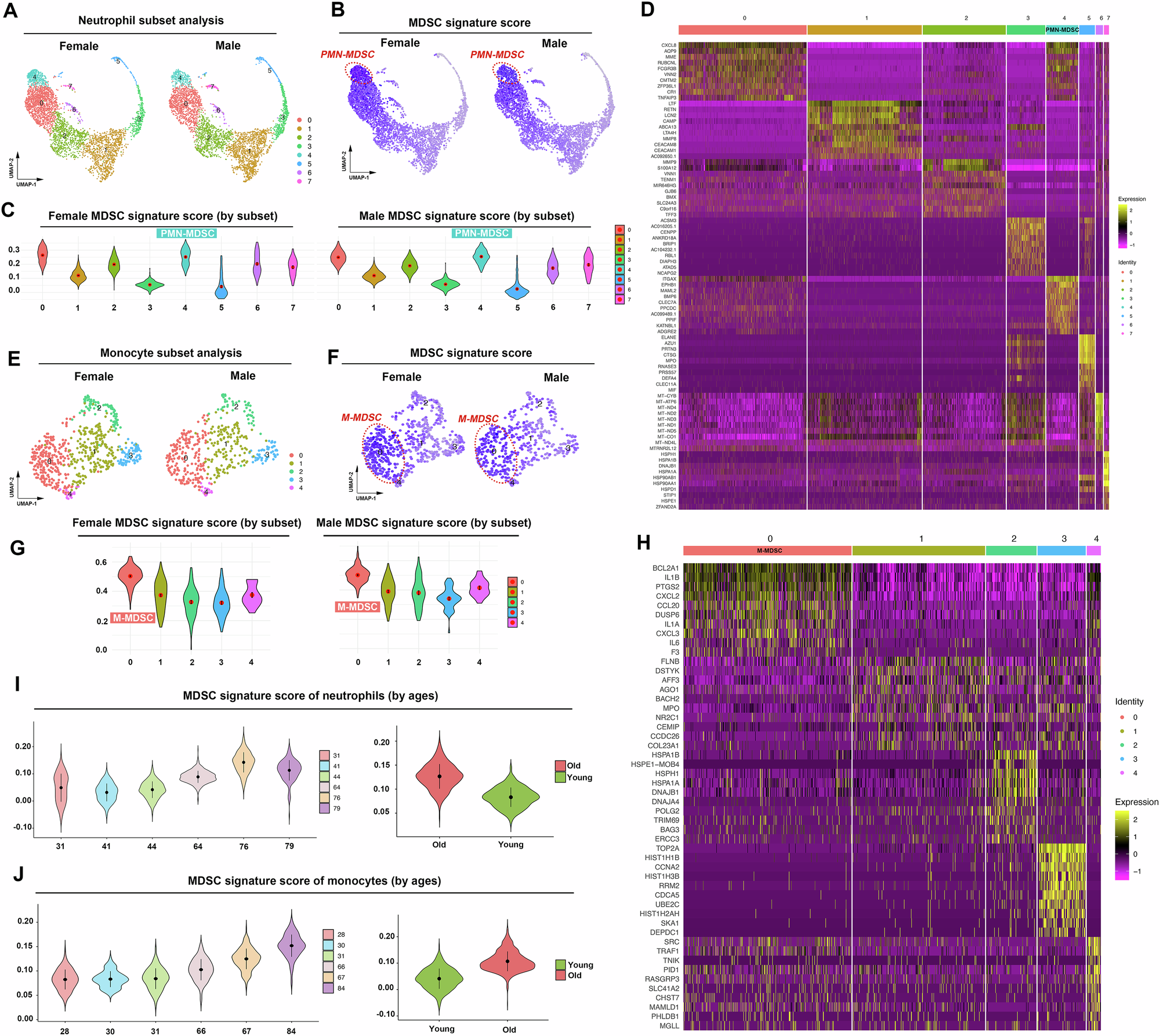 Fig. 2: Identification of bone marrow-derived MDSCs in aged human using MDSC signature genes.