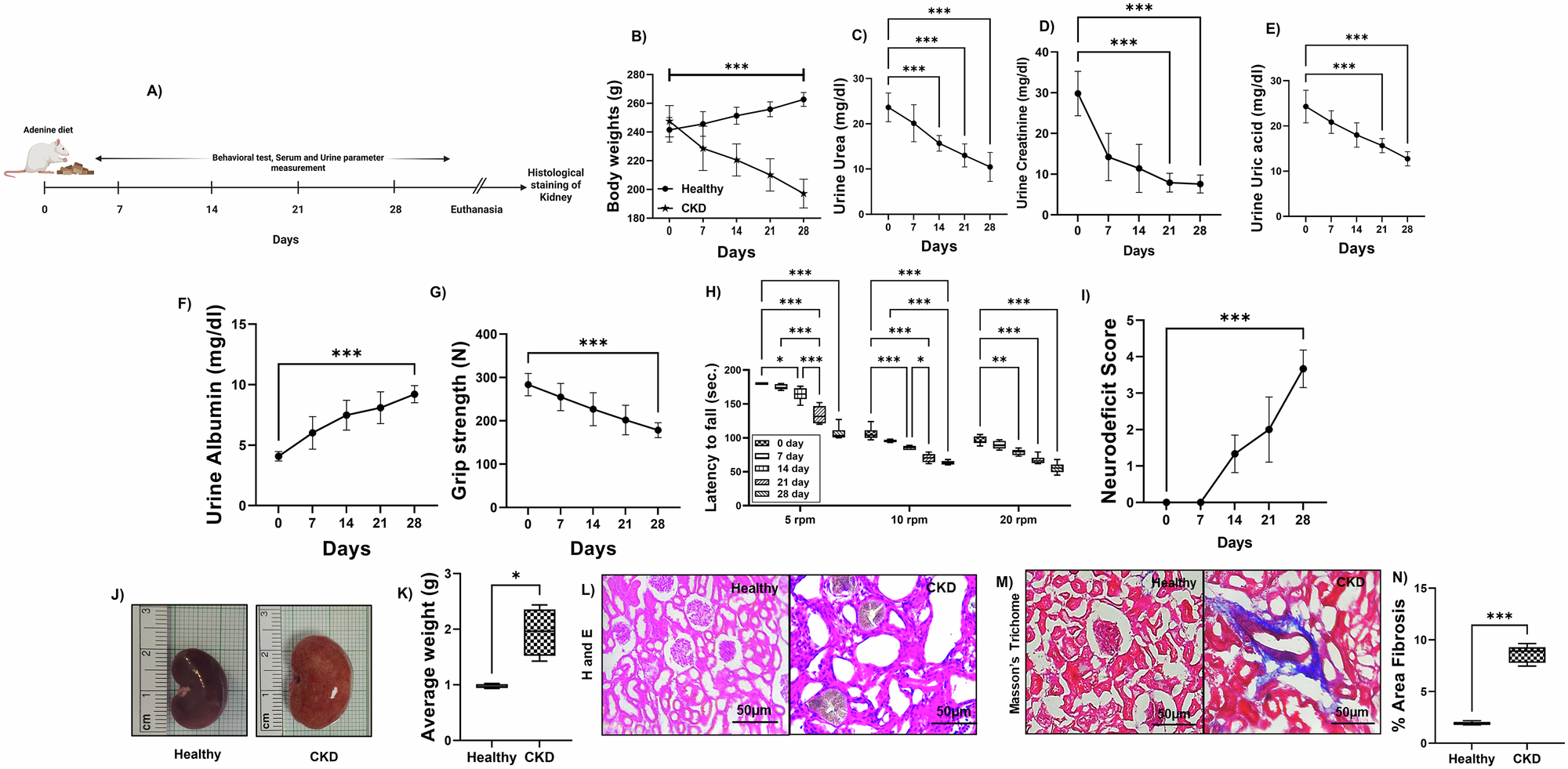 is glutathione good for ckd Stroke in persistent chronic kidney disease condition alters innate-immunity to escalate mitochondrial dysfunction and aging Anti-Aging Serum