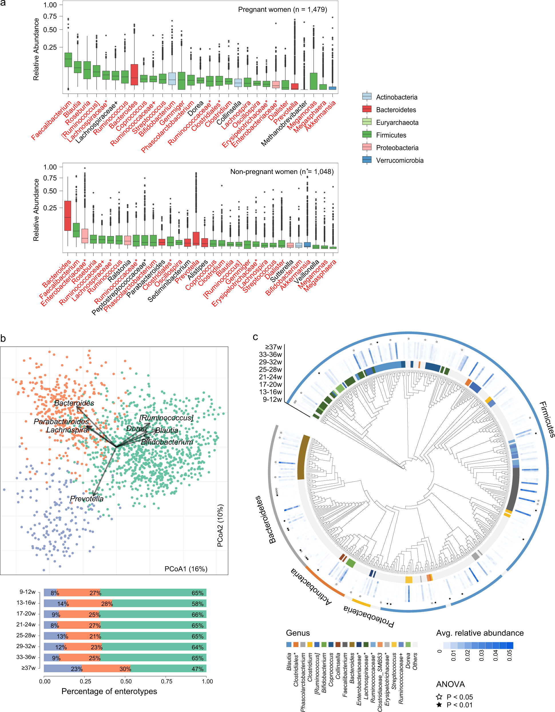 Fig. 1: Gut microbiome landscape during pregnancy.
