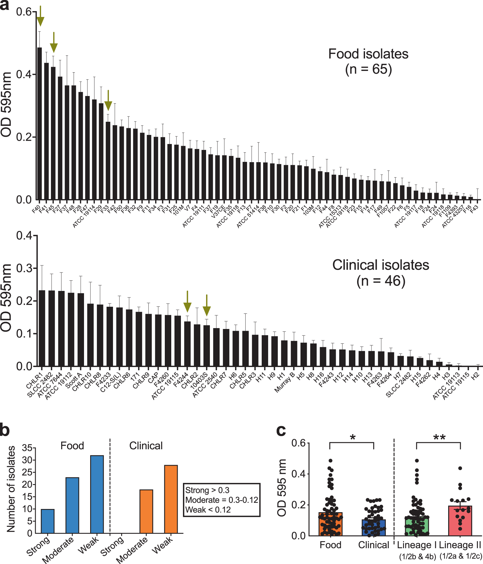 Fig. 1: Quantification of L. monocytogenes biofilm formation and morphological analysis.