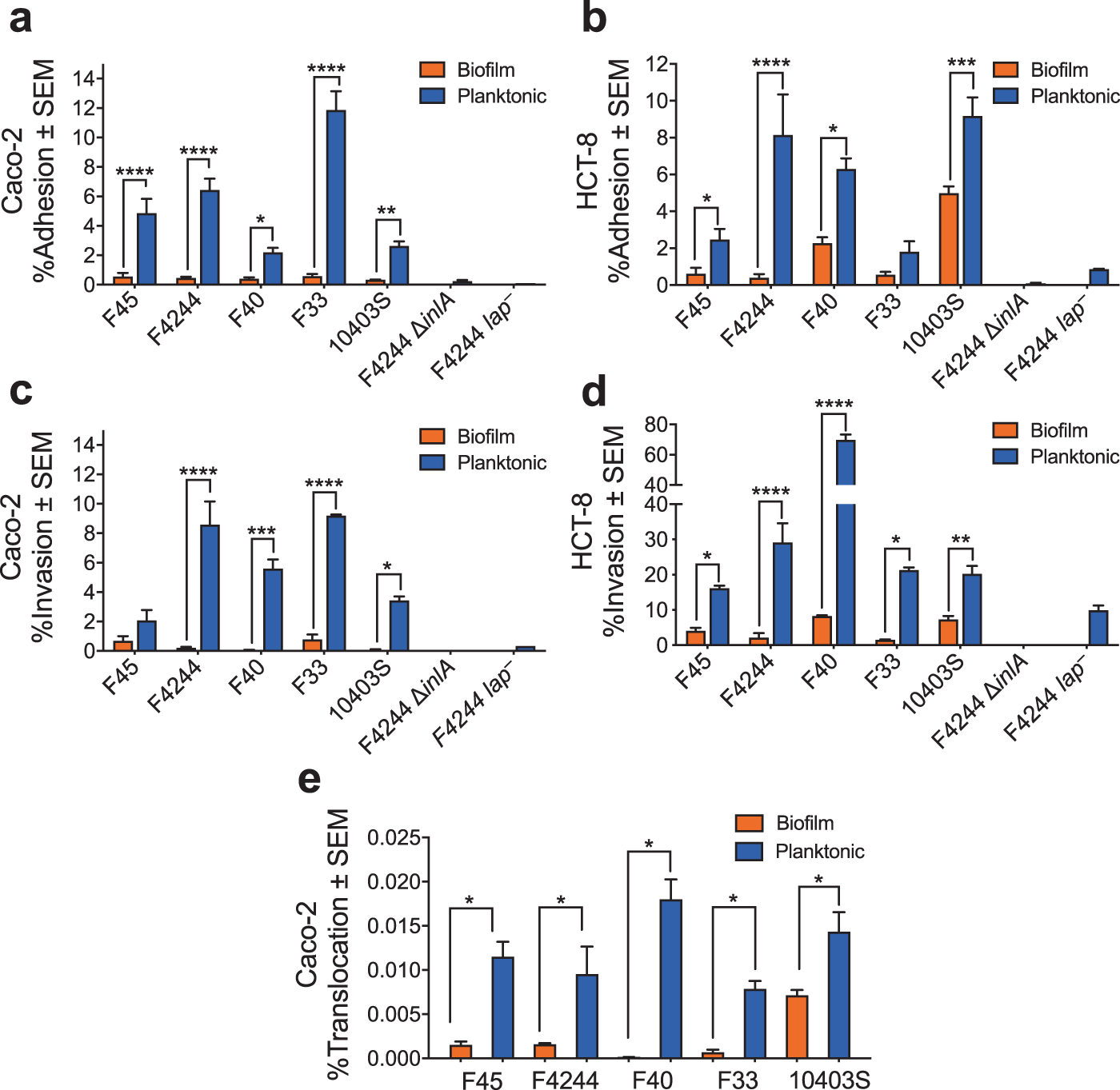 Fig. 2: Adhesion, invasion, and translocation characteristics of biofilm-forming sessile and planktonic cells on the cultured cell line.