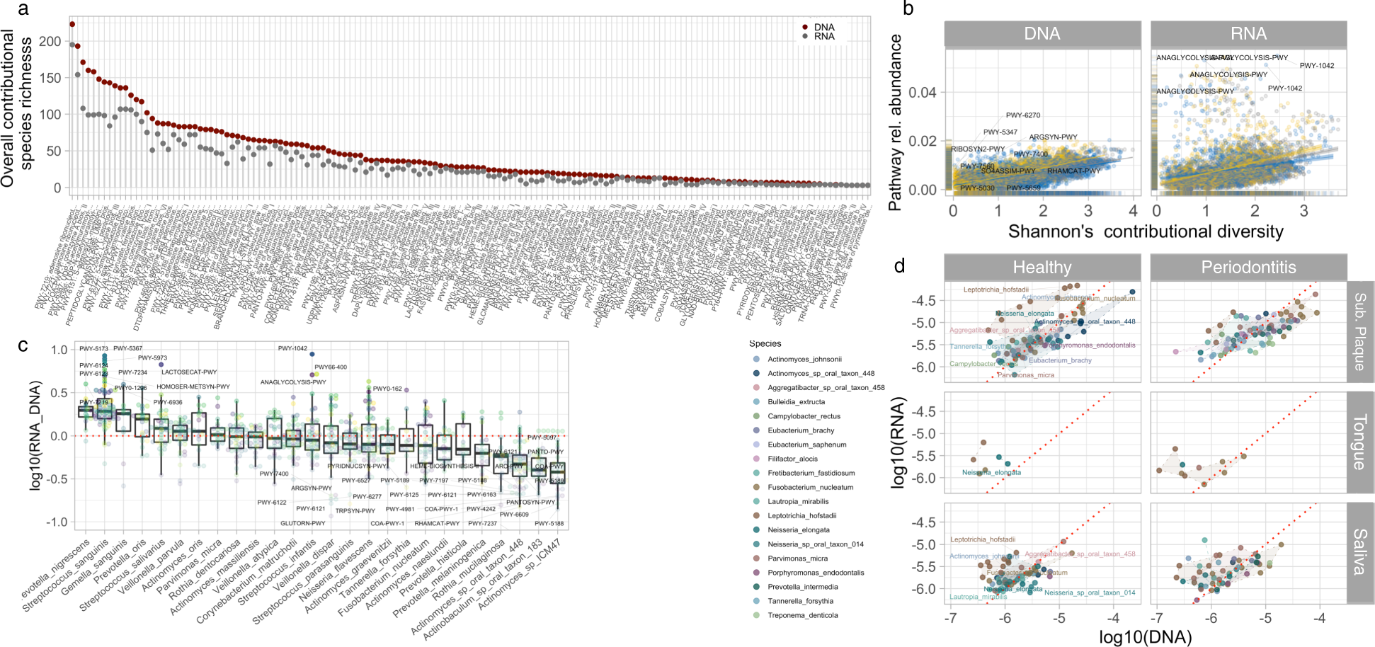 Fig. 2: Pathway-level contributional diversity and species transcriptomal activity of oral microbiome.