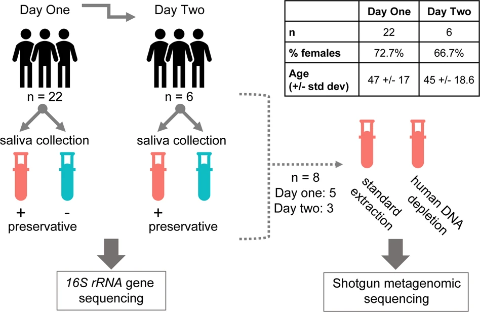 Covid-19 Testing Kits Also Can Measure Oral Microbiome in Saliva