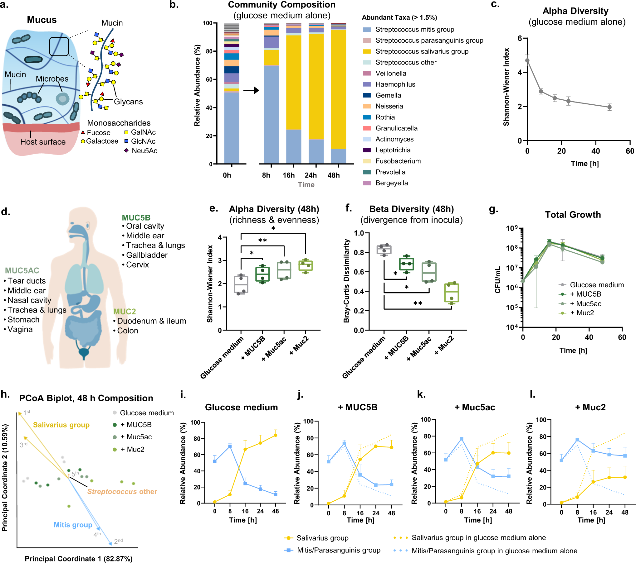 Fig. 1: Mucins from different mucosal niches promote diverse oral microbial communities.