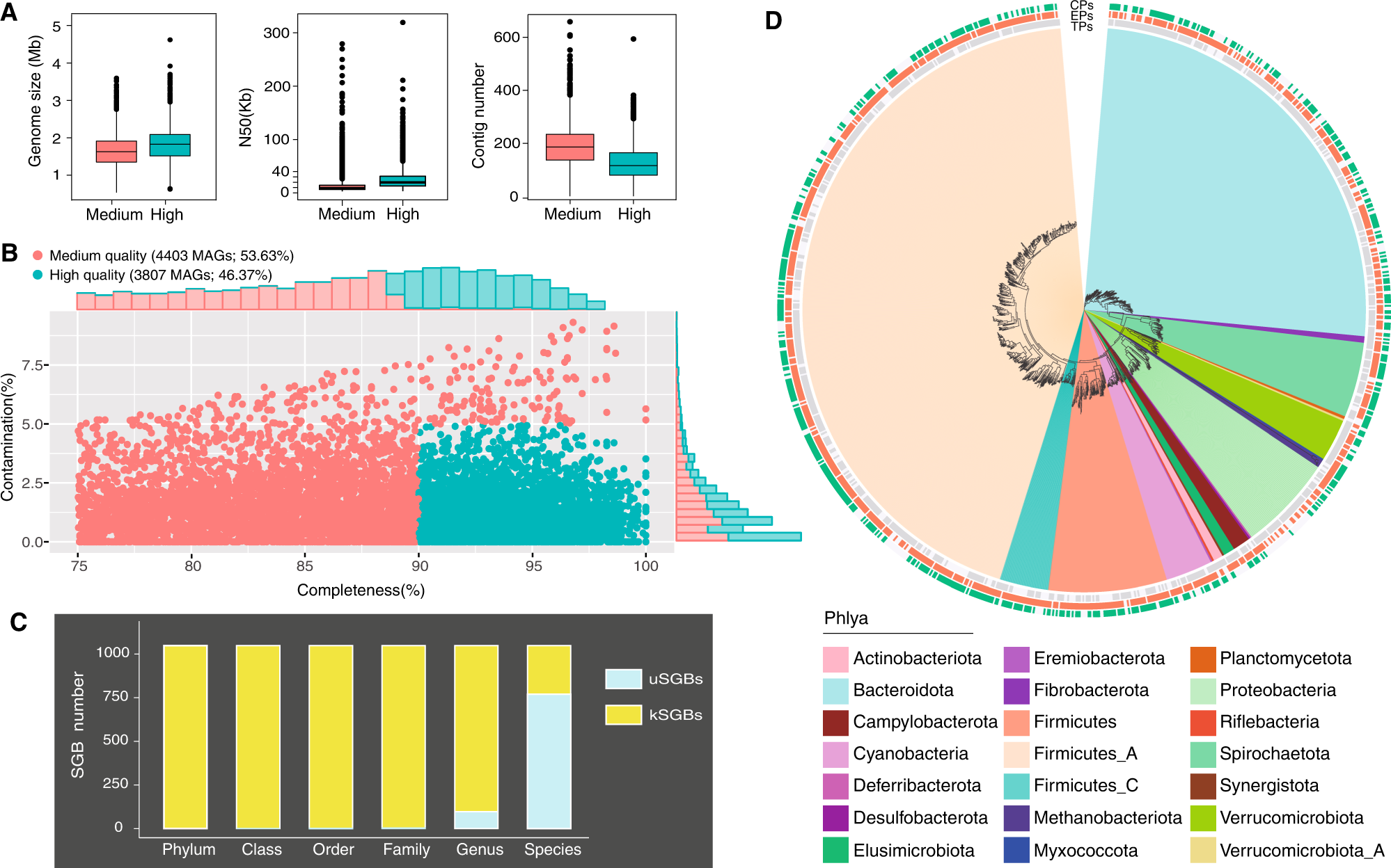 Domestication shapes the pig gut microbiome and immune traits from