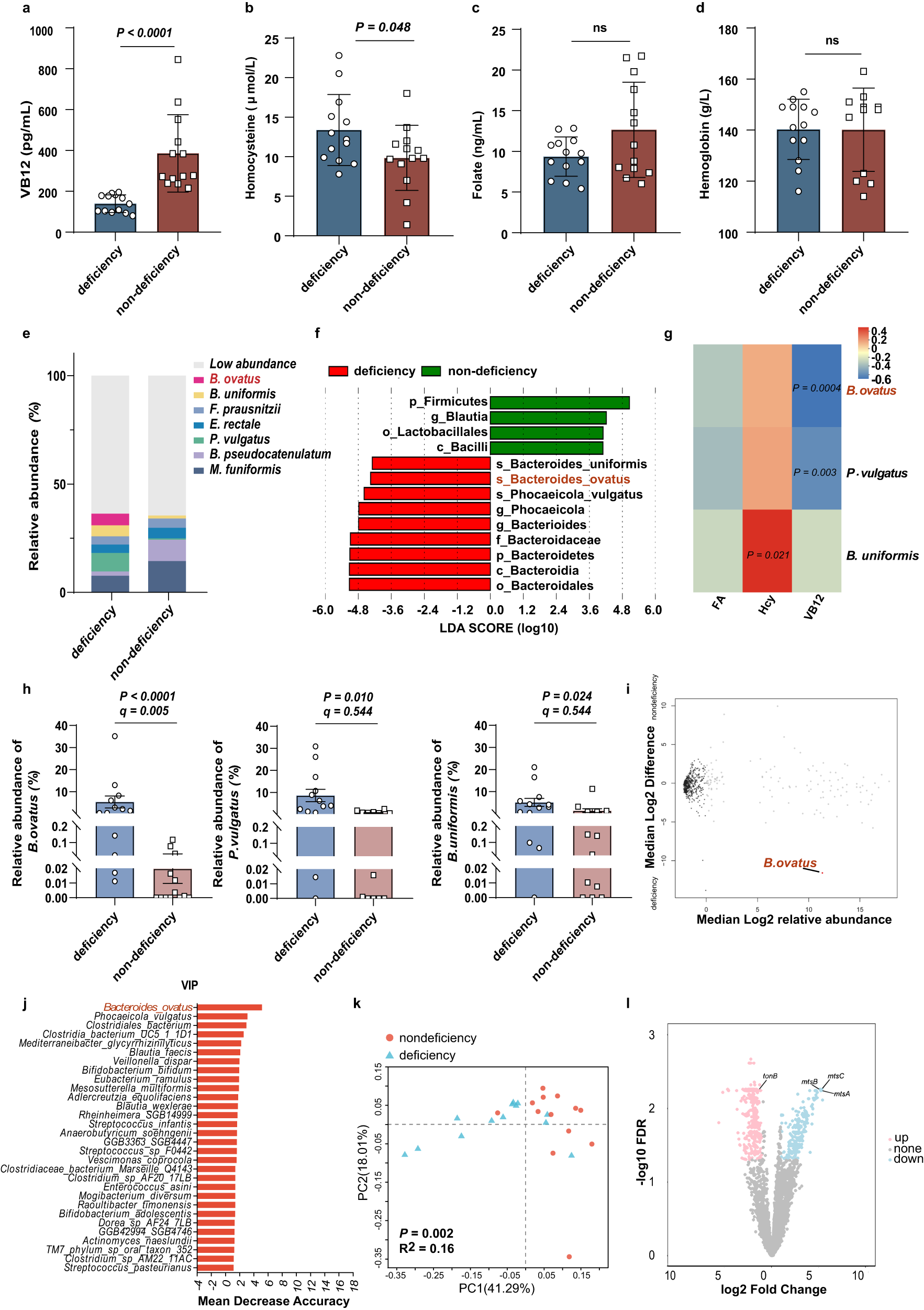Bacteroides ovatus accelerates metformin-induced vitamin B12 deficiency in  type 2 diabetes patients by accumulating cobalamin | npj Biofilms and  Microbiomes