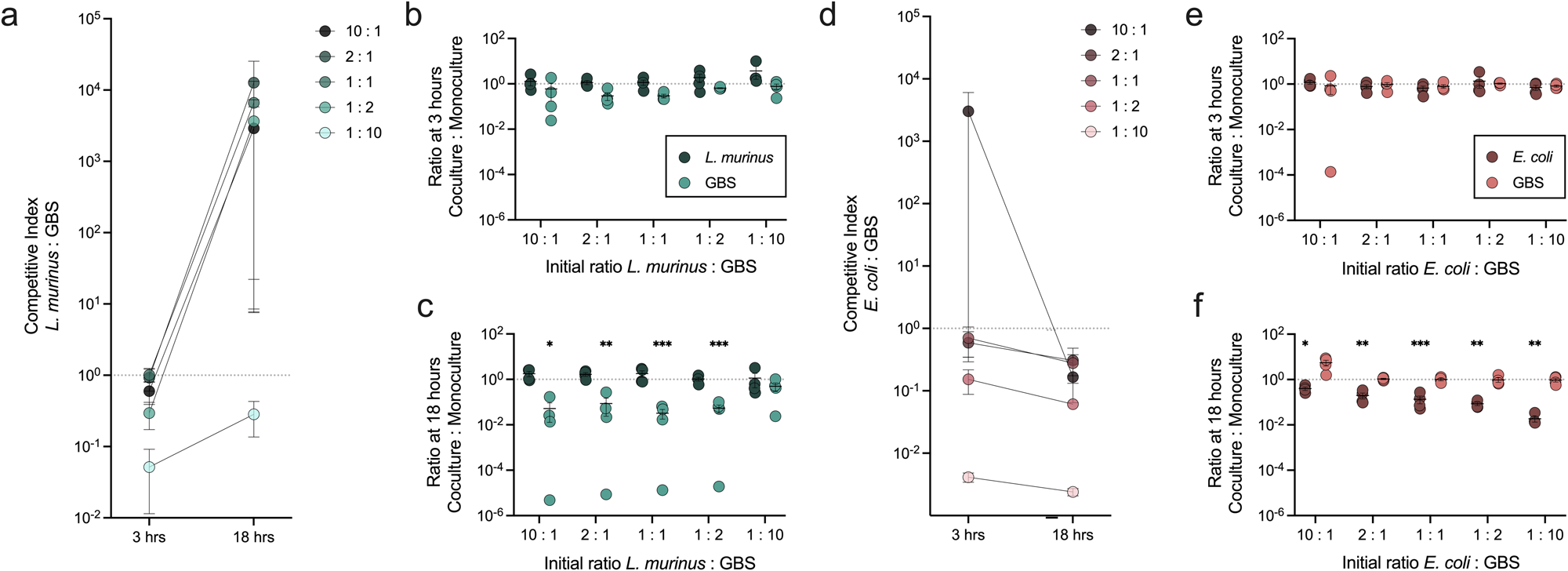 Fig. 6: In vitro competition assays demonstrate GBS inhibition by L. murinus but not E. coli.