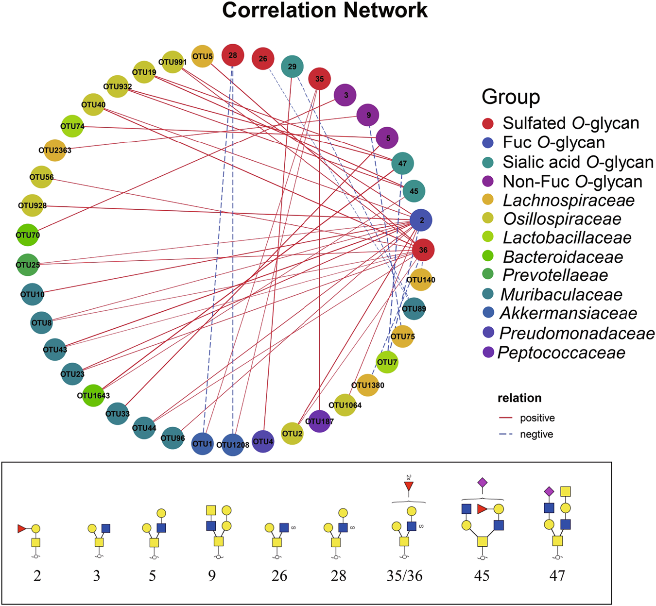 Fig. 7: Network revealing correlations between mouse colonic mucin O-glycans and bacterial OTUs.