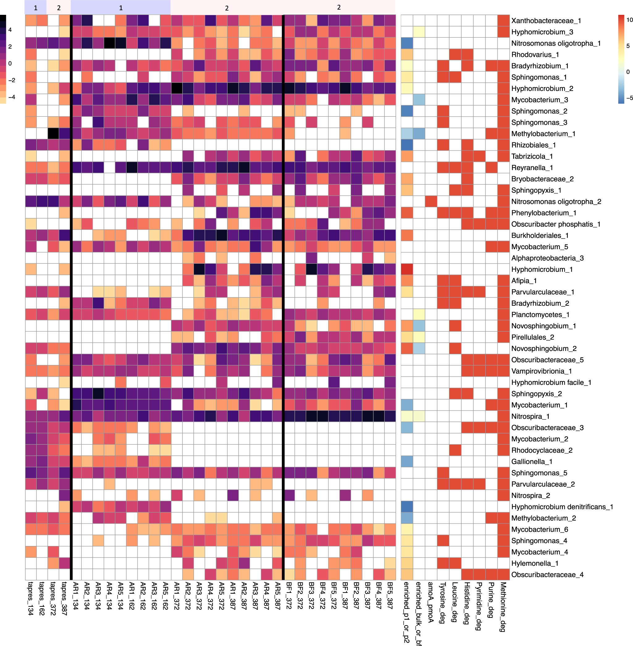 Fig. 8: Heatmaps of MAGs.