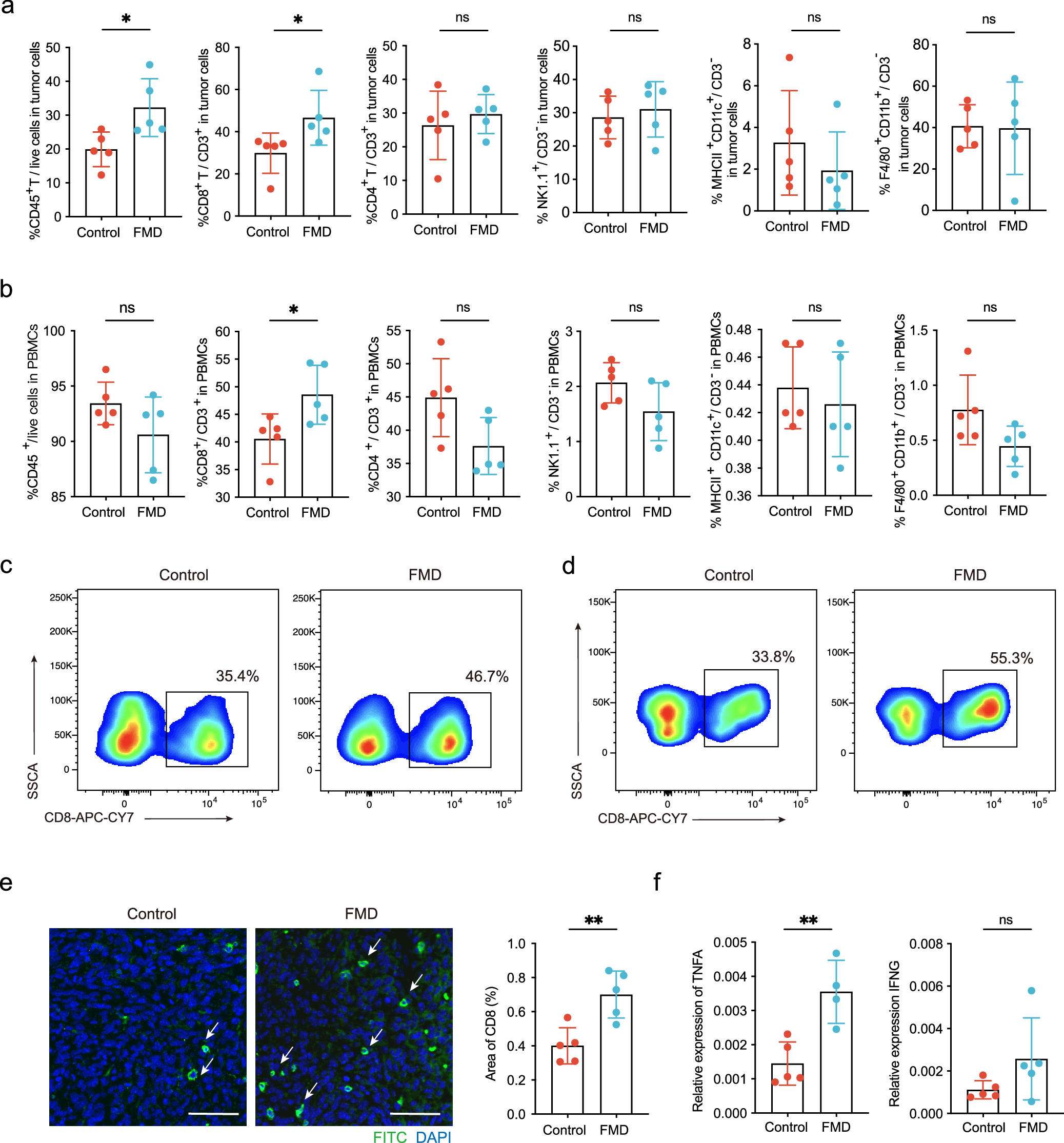Fig. 2: FMD increased CD8+ T cells in tumor cells and PBMCs.