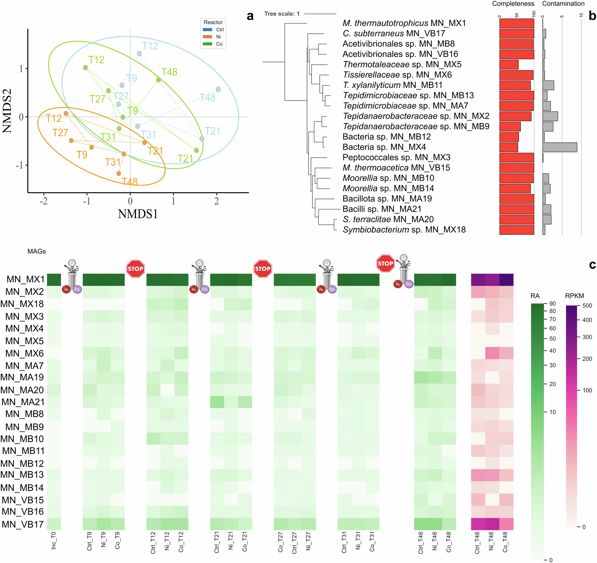 Fig. 2: Overview of the reconstructed microbiome.