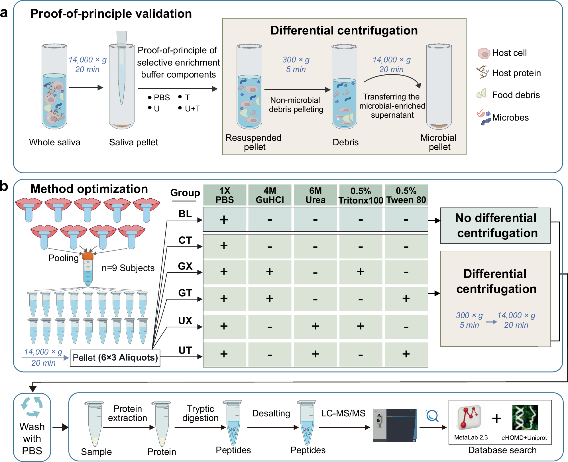 Fig. 1: Schematic illustration of the iterative optimization strategy for developing the OSaMPle workflow.