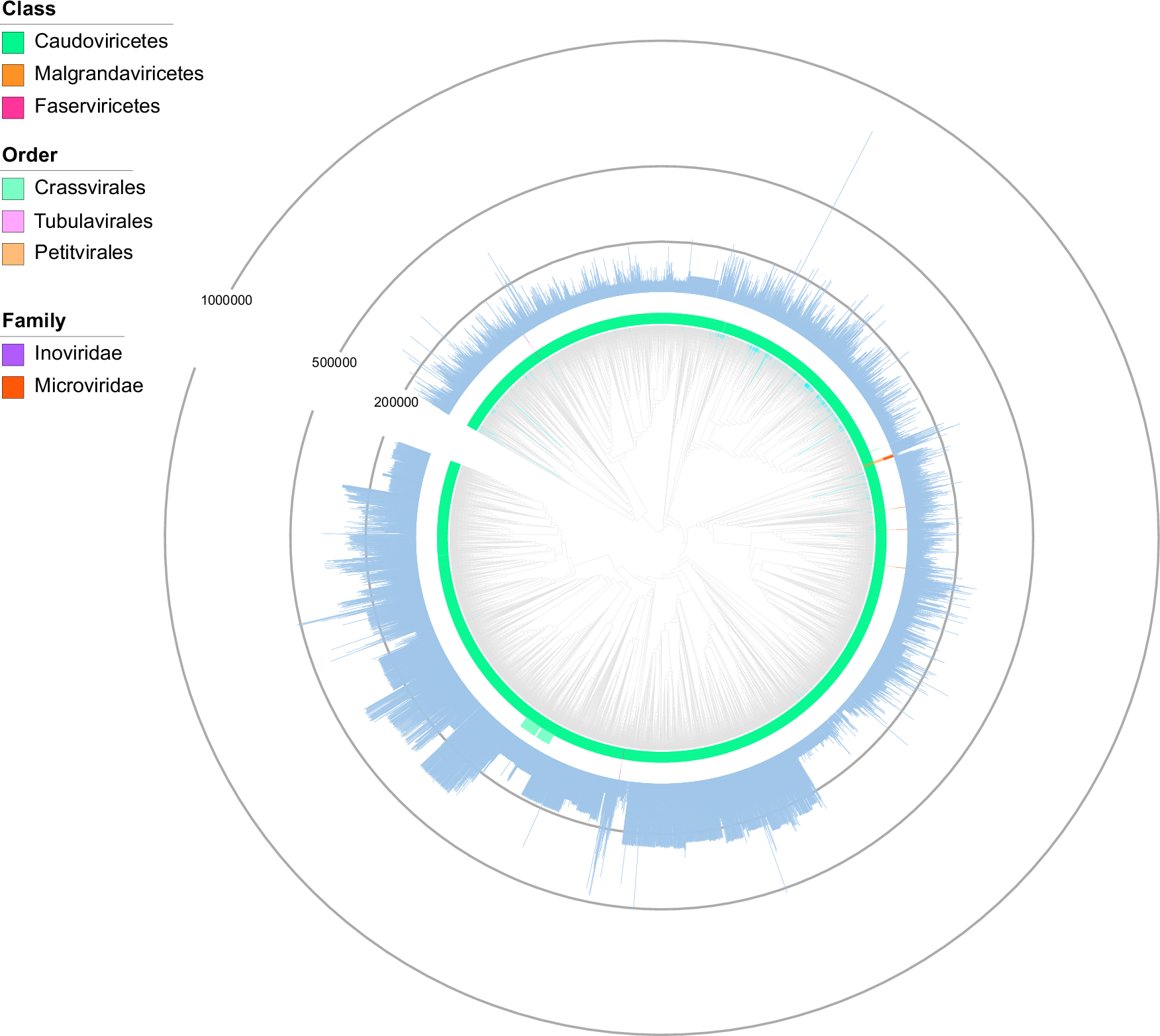 Fig. 2: Viral diversity of OPD.