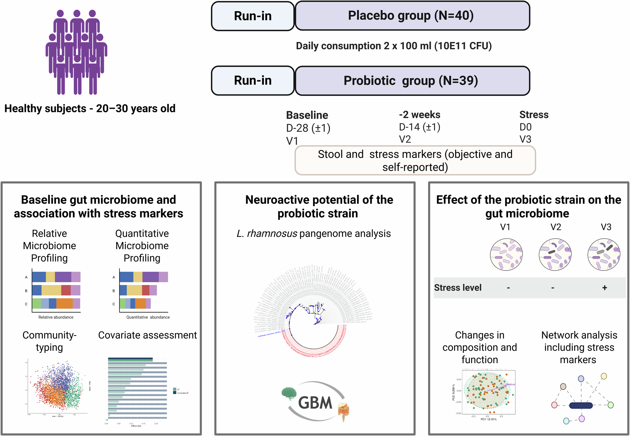 Fig. 1: Study design and analysis performed.