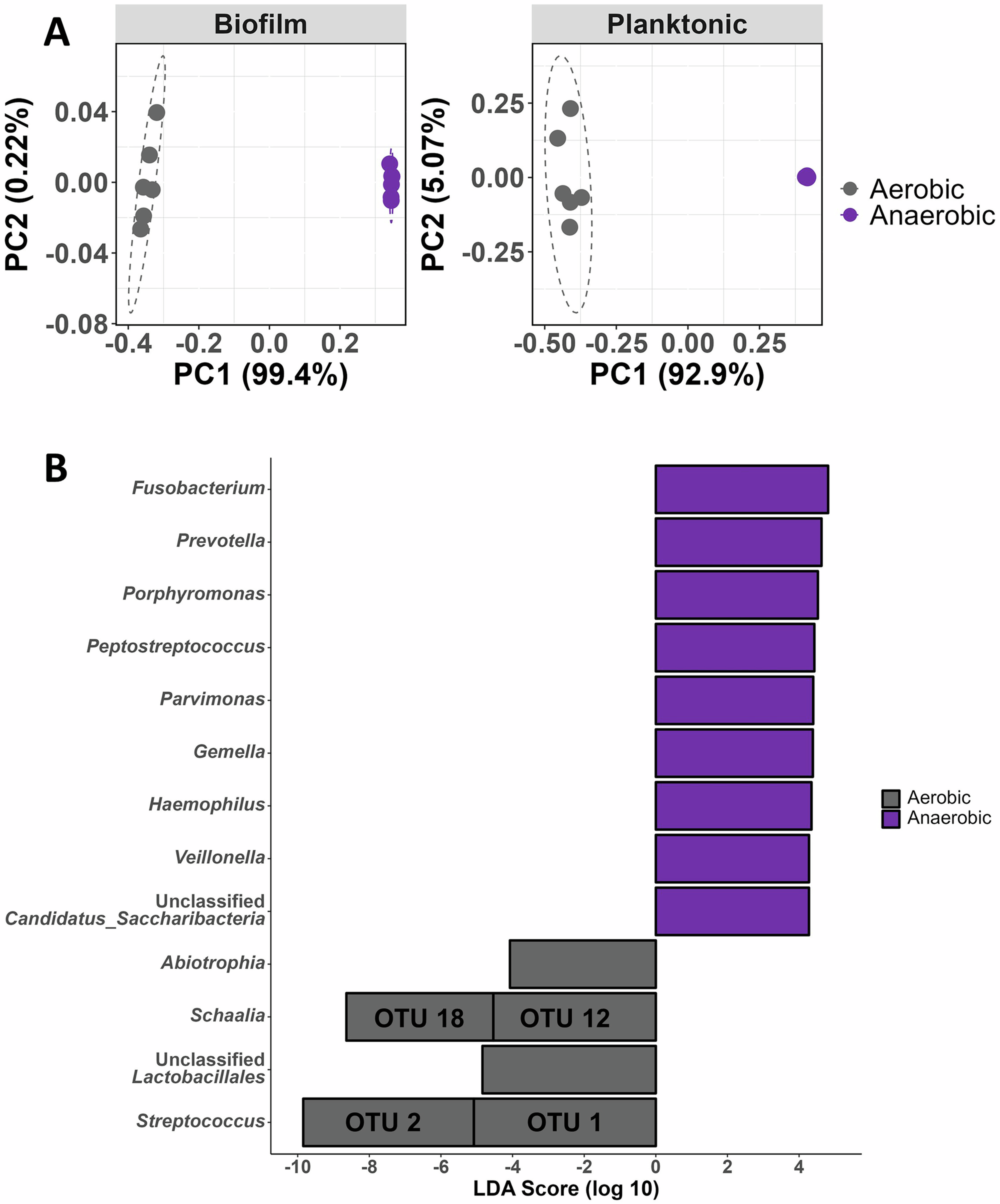 Fig. 2: Microbial composition of a supragingival plaque community cultured in vitro under 5% CO2 and anaerobic culture conditions.