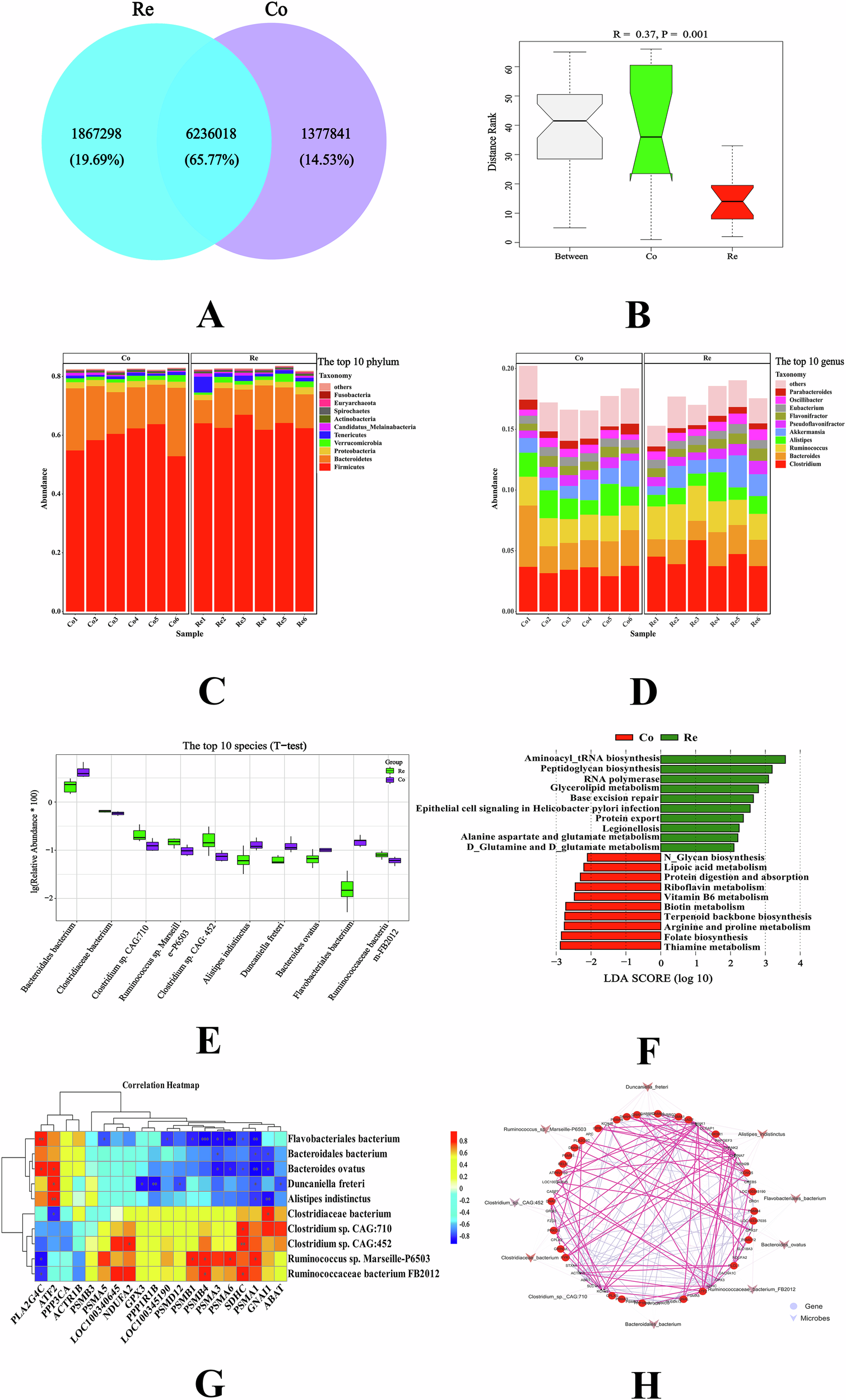Fig. 4: Analysis of the interaction between cecal microbes and neurometabolic pathway genes by feed restriction.