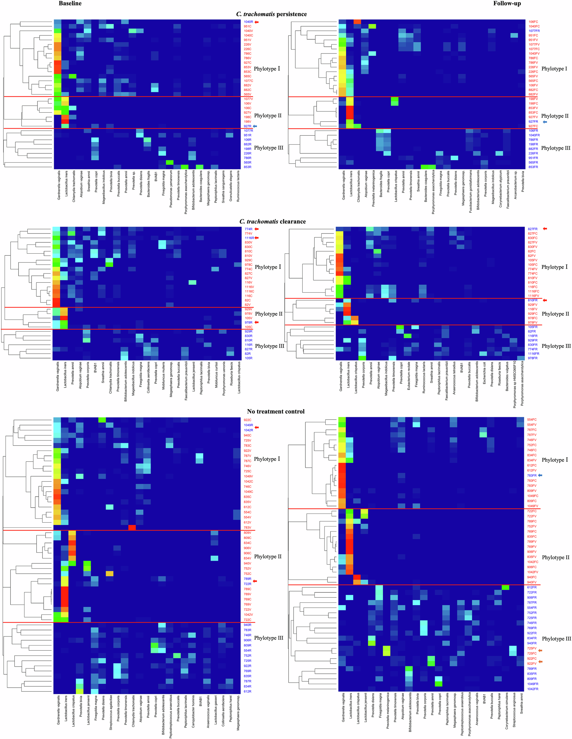 Fig. 5: Heatmap based on Bray–Curtis Hierarchical Clustering showing three phylotypes of the paired endocervical, vaginal and rectal microbiomes for each of the three cohort datasets.