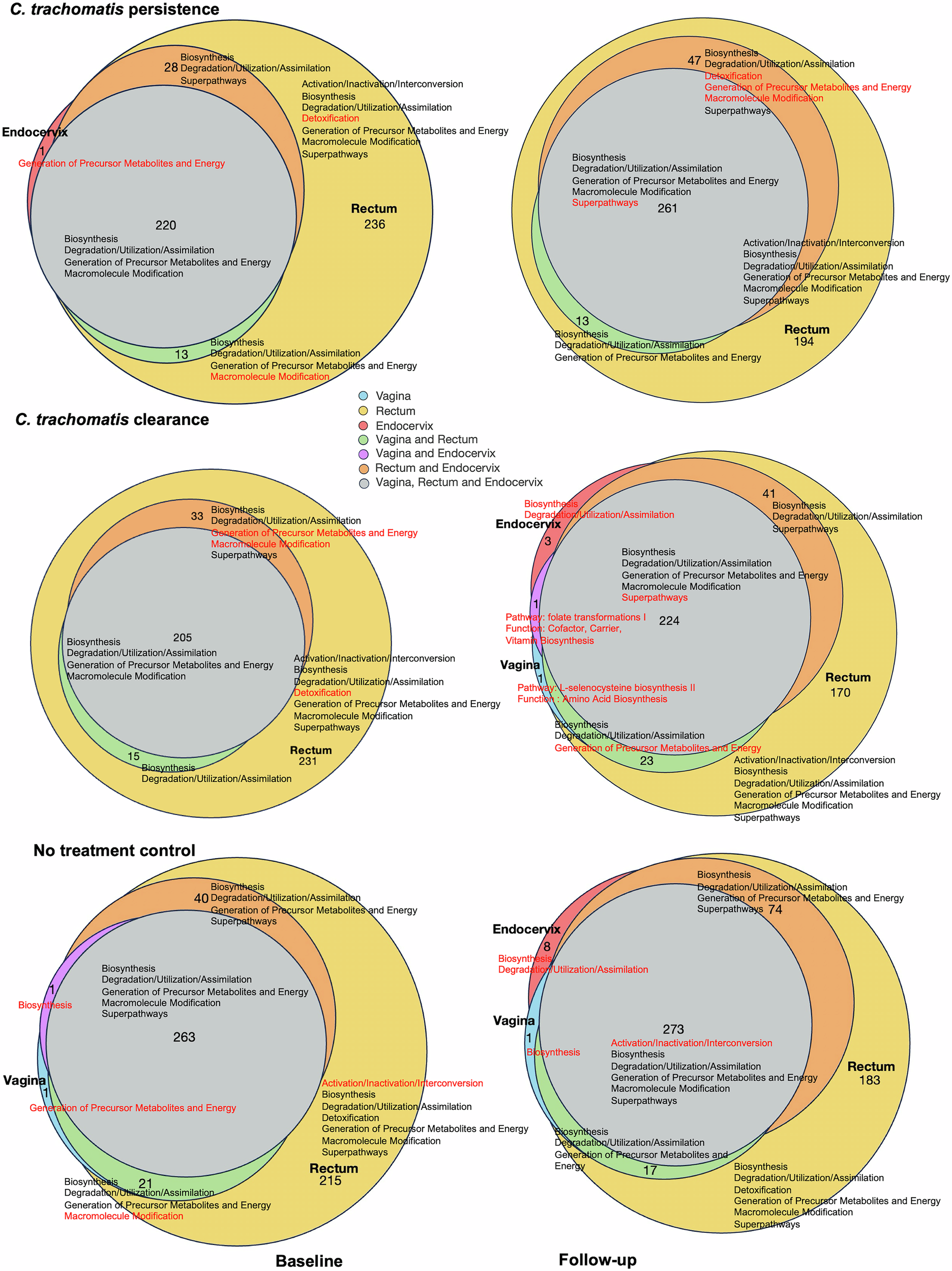 Fig. 7: Venn diagram representation of functions and function-level similarities and differences among the paired vaginal, endocervical and rectal microbiomes for the three cohort datasets at baseline and follow-up timepoints.