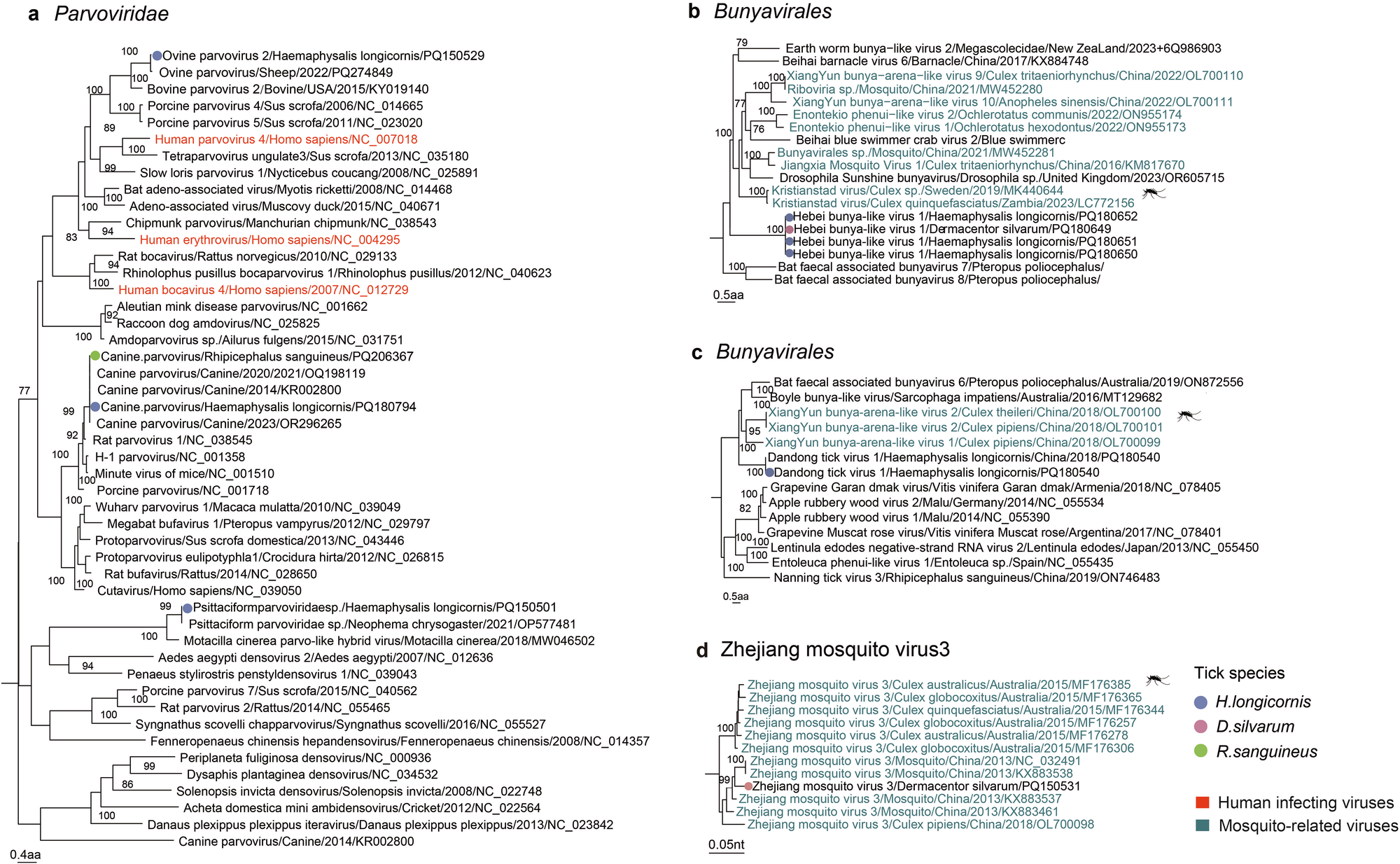 Fig. 7: Phylogenetic analysis of animal-infecting viruses and mosquito-associated viruses, including.