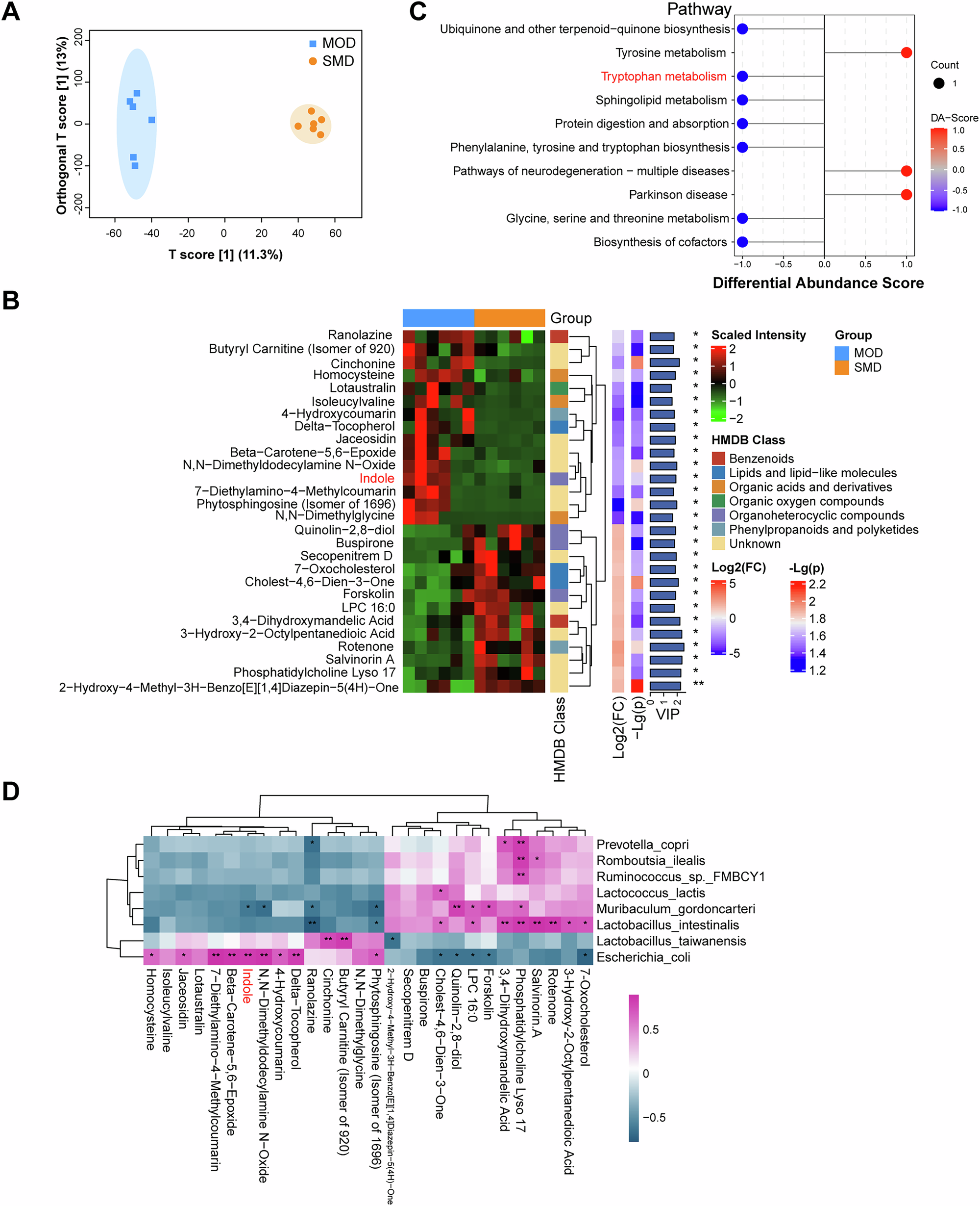 Fig. 7: SMD regulates the metabolism of gut microbiota in the UOX−/− rats.
