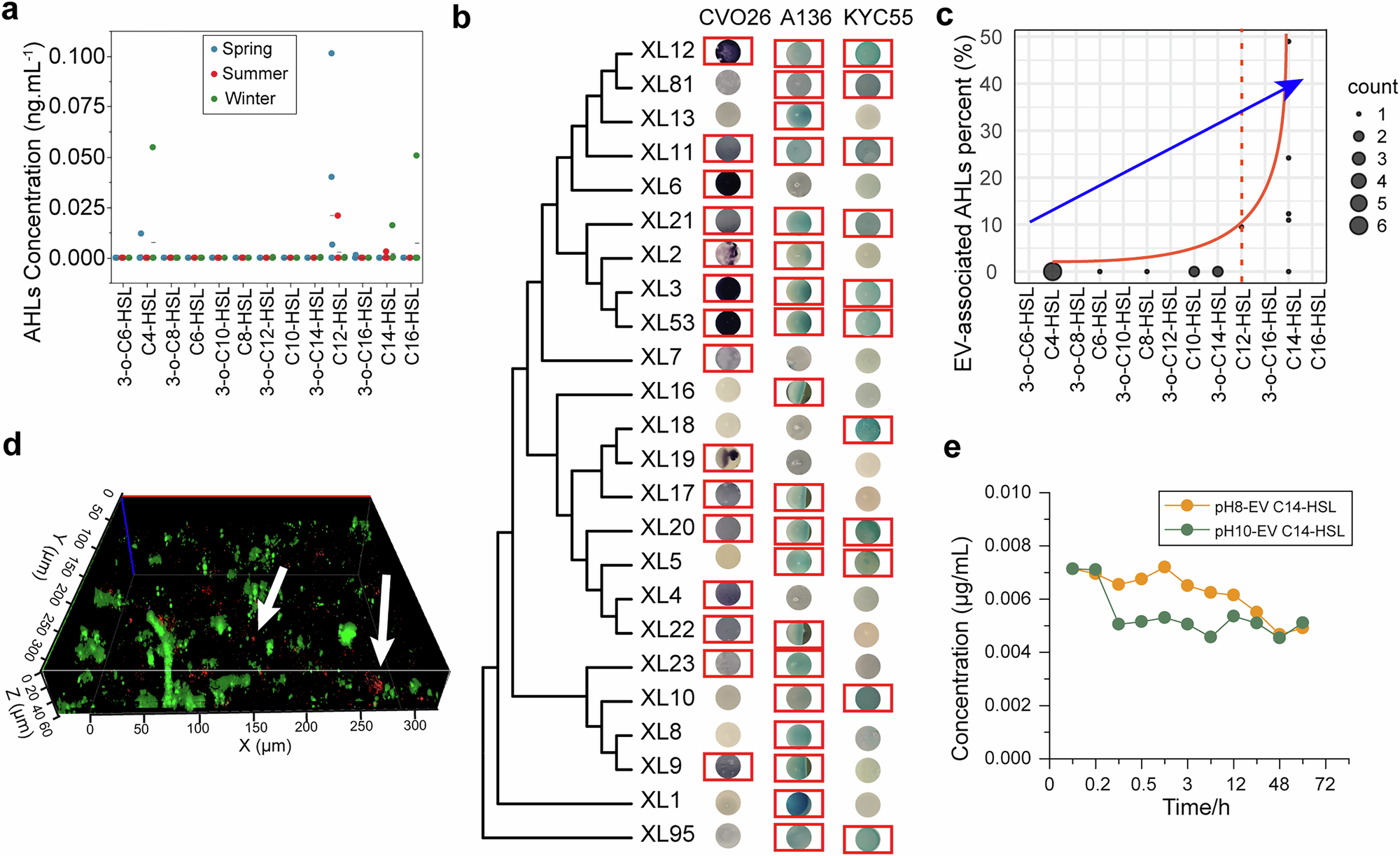 Fig. 1: EVs preserved and protected hydrophobic AHLs.