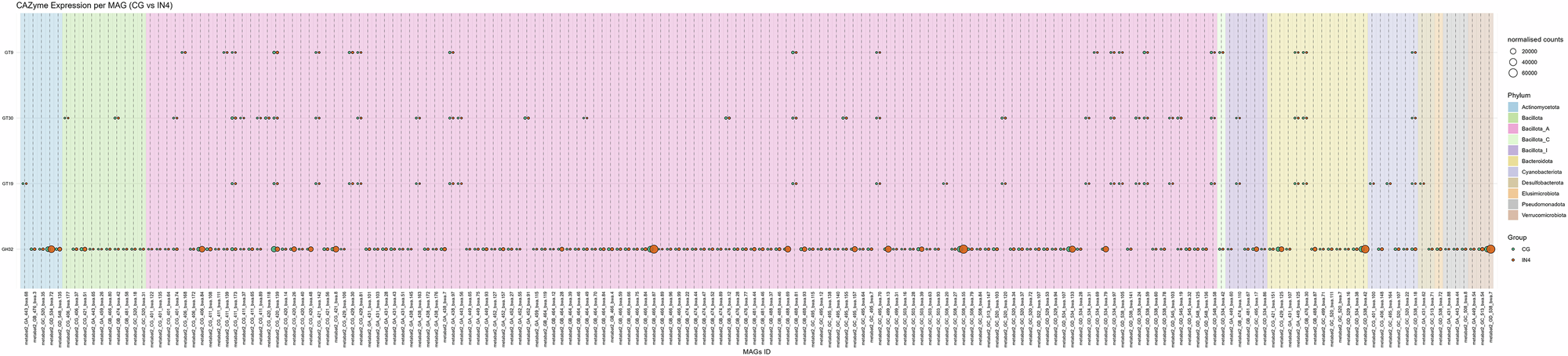 Fig. 10: Bubble plots show the different expression levels of significantly expressed CAZymes by different MAGs in IN4 compared to the CG group.
