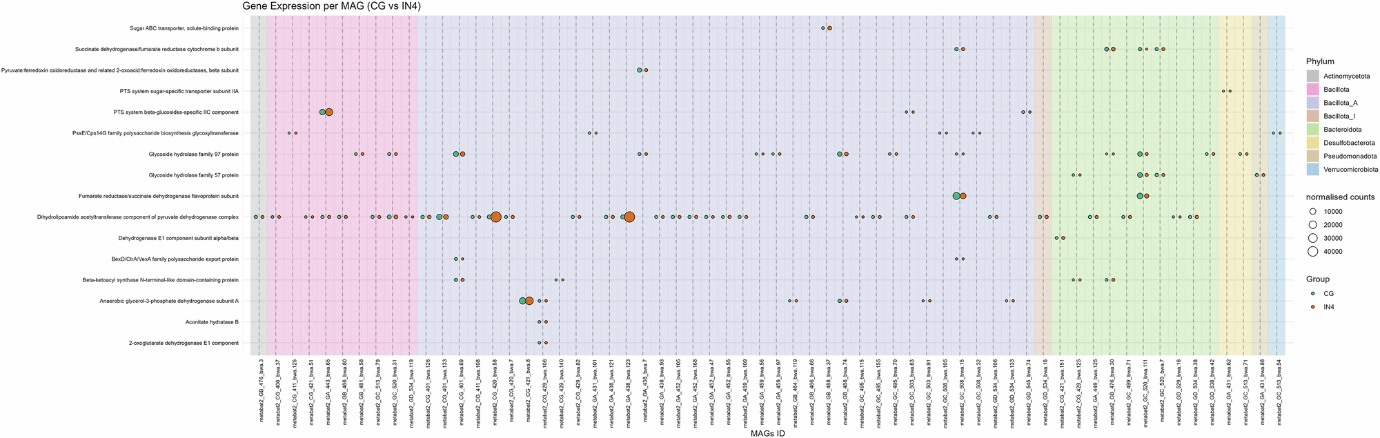 Fig. 8: Bubble plots show the different expression levels of significantly differentially expressed carbohydrate-associated genes by different MAGs in IN4 compared to the CG group.