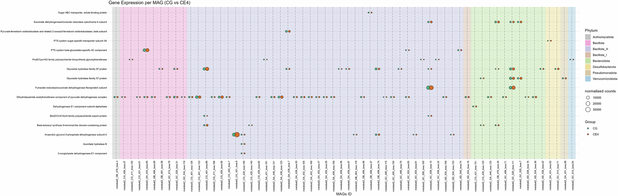 Fig. 9: Bubble plots show the different expression levels of significantly differentially expressed carbohydrate-associated genes by different MAGs in CE4 compared to the CG group.