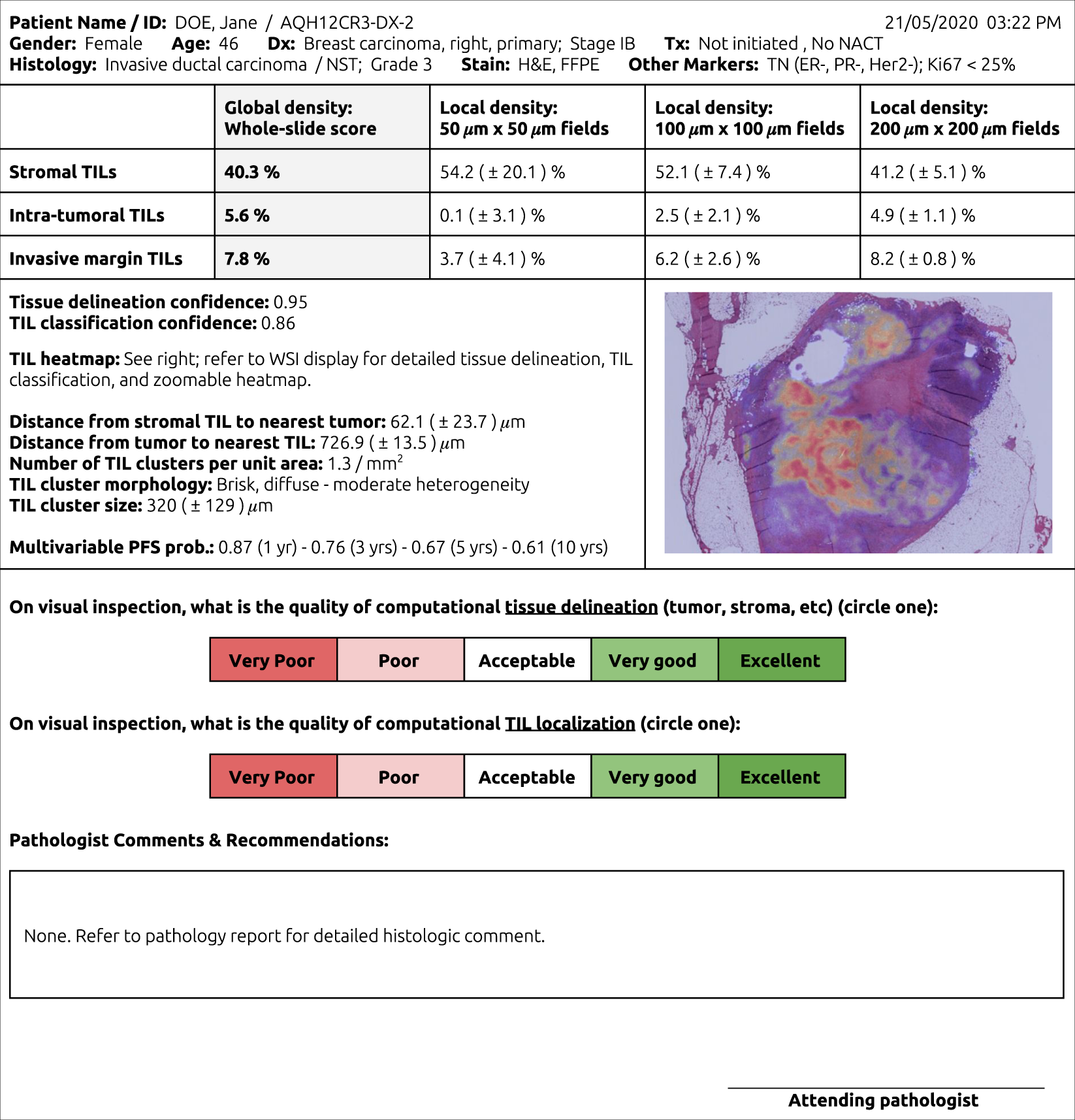 Fig. 2: Conceptual pathology report for computational TIL assessment (CTA).
