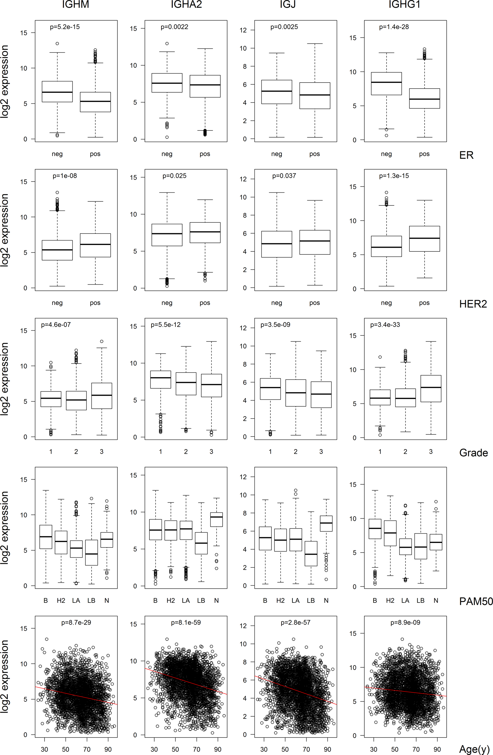 Fig. 3: Expression of Ig heavy chain-encoding RNAs in relation to clinico-pathological parameters.