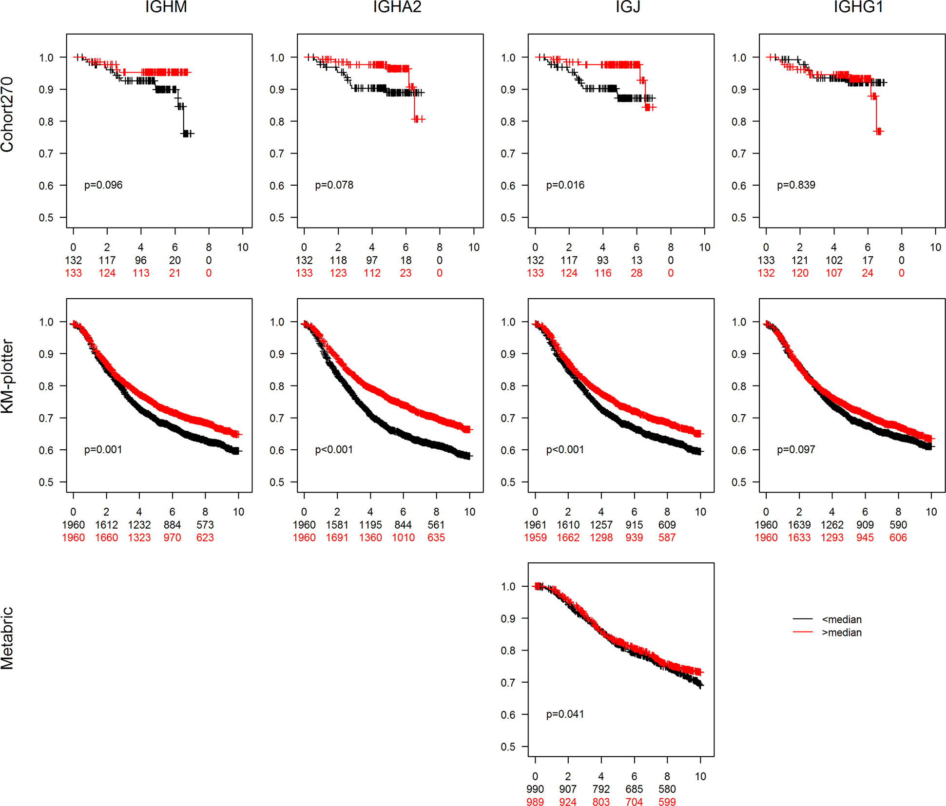 Fig. 5: Association of IG mRNA expression with recurrence-free survival.