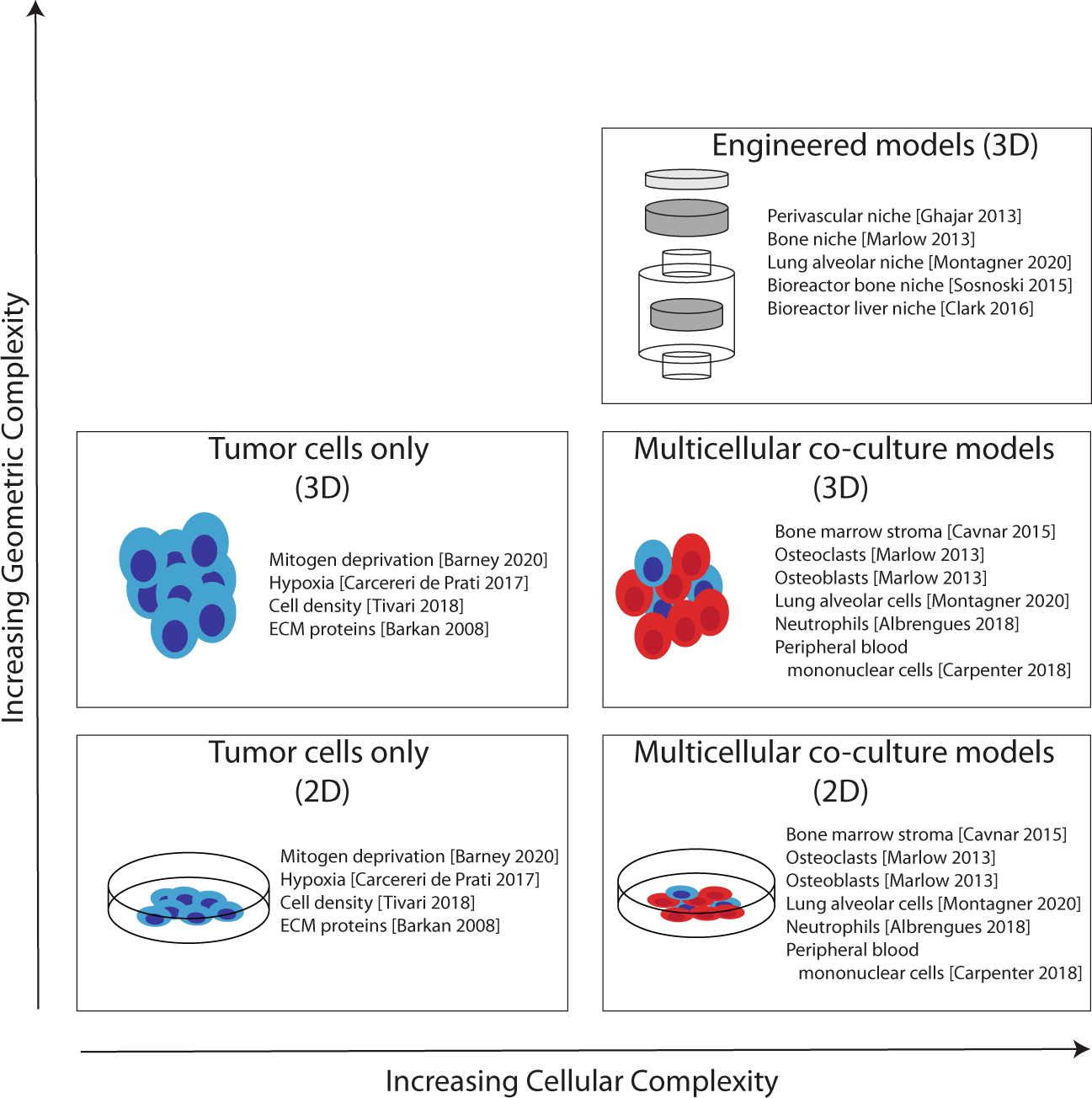 Fig. 4: Schematic representation of in vitro models of dormancy that increase complexity of geometric and cellular components.