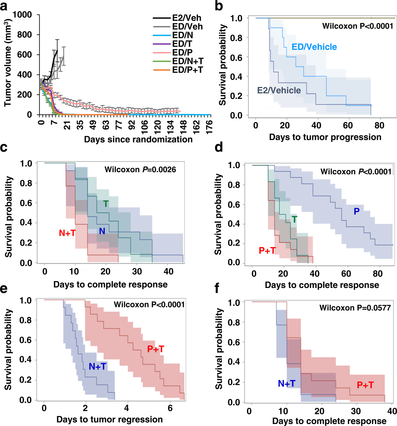 Fig. 1: Neratinib (N) containing anti-HER2 regimen shows superior anti-tumor efficacy than trastuzumab (T) and pertuzumab (P) in BT474 cell-derived xenograft model.