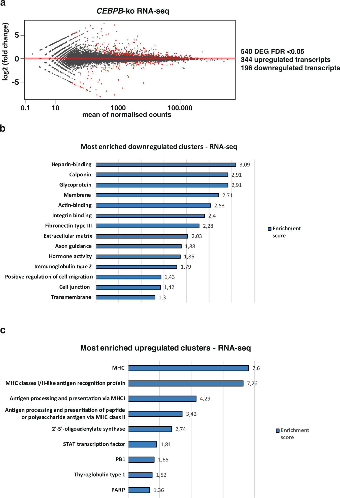 Fig. 2: Transcriptomics and functional clustering analysis of BT-20 CEBPB-ko vs BT-20 wt cells.